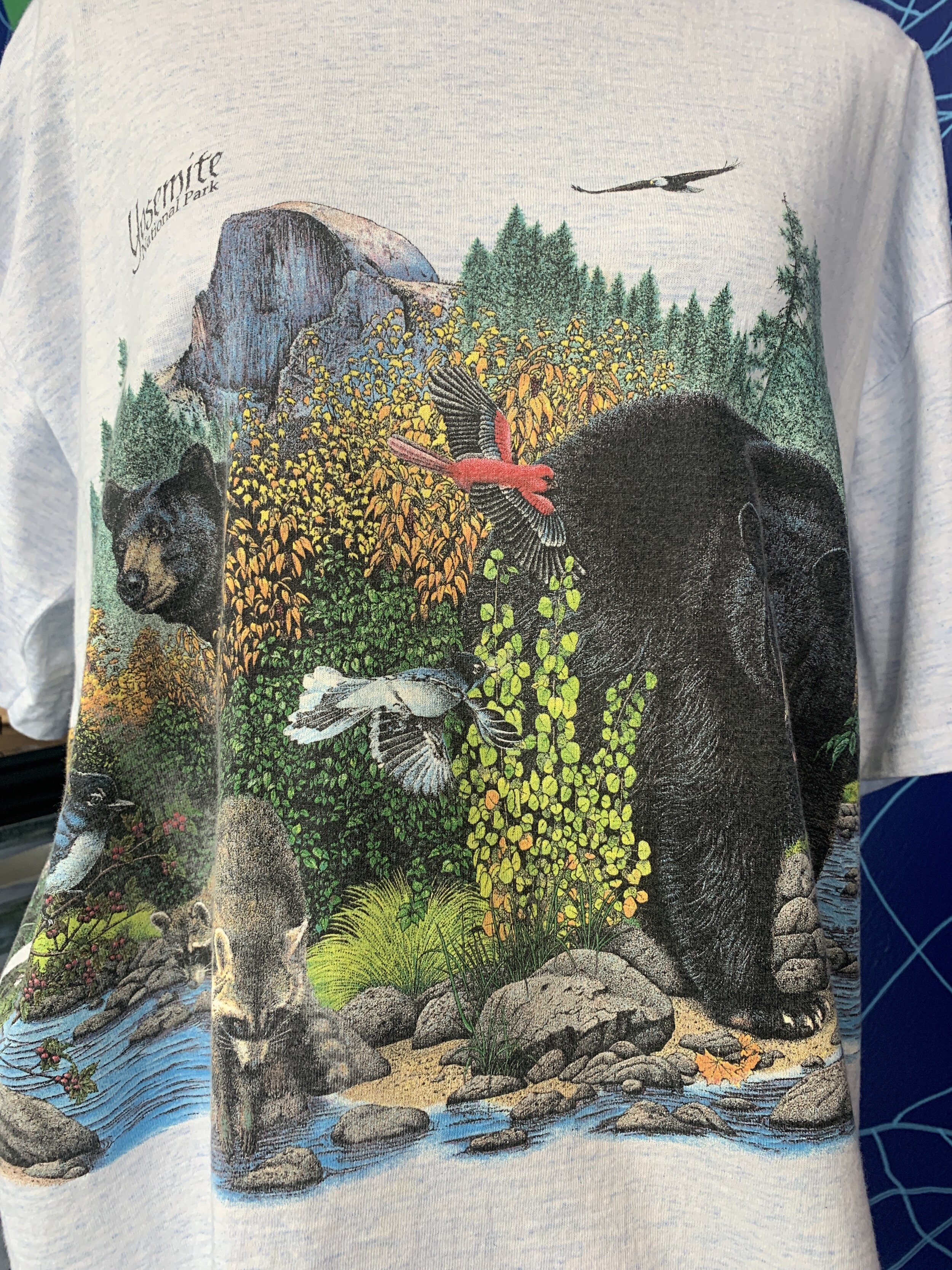 yosemite 2.jpeg