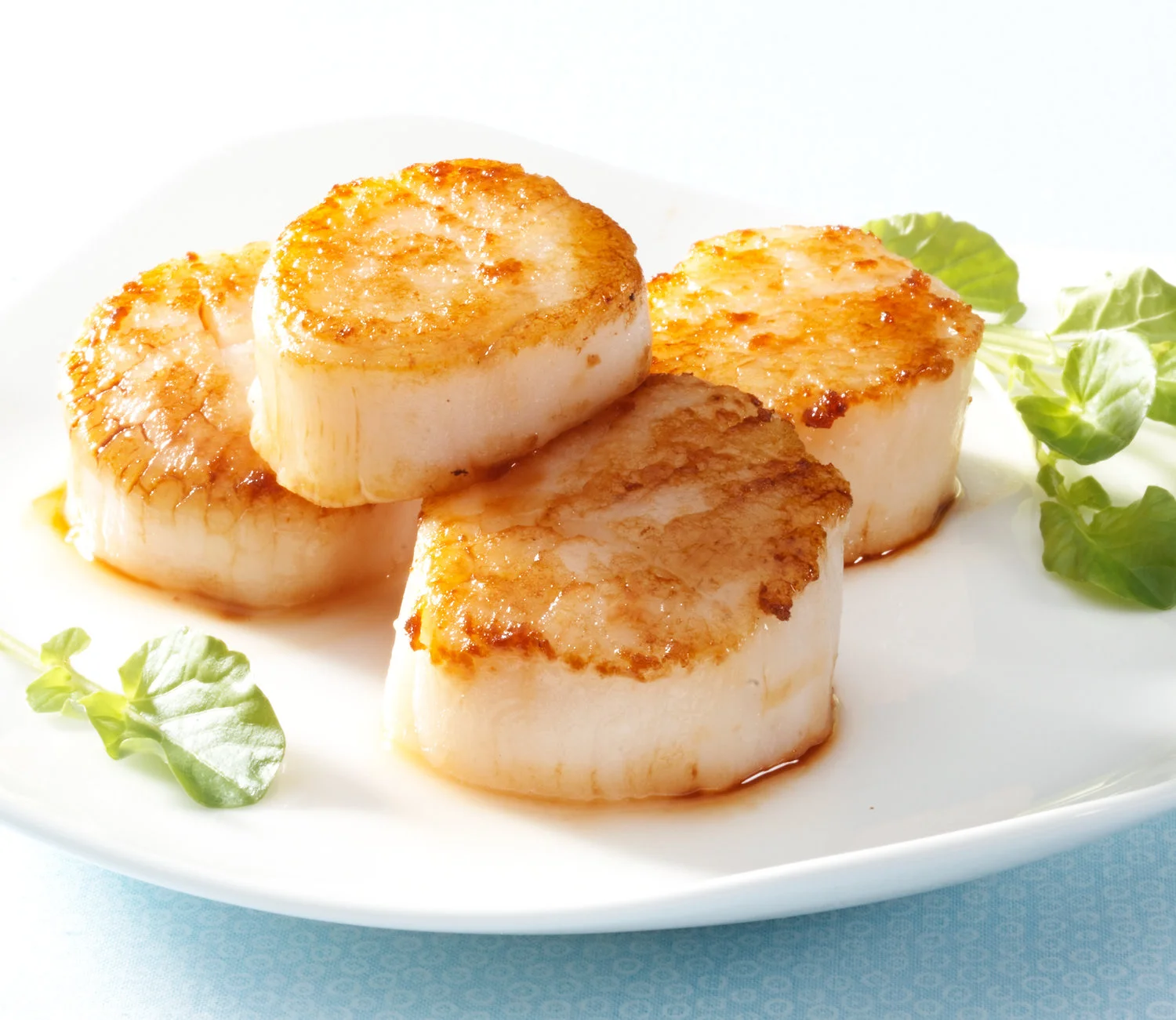 ChicagoFoodPhotographerFishScallopsSea.jpg