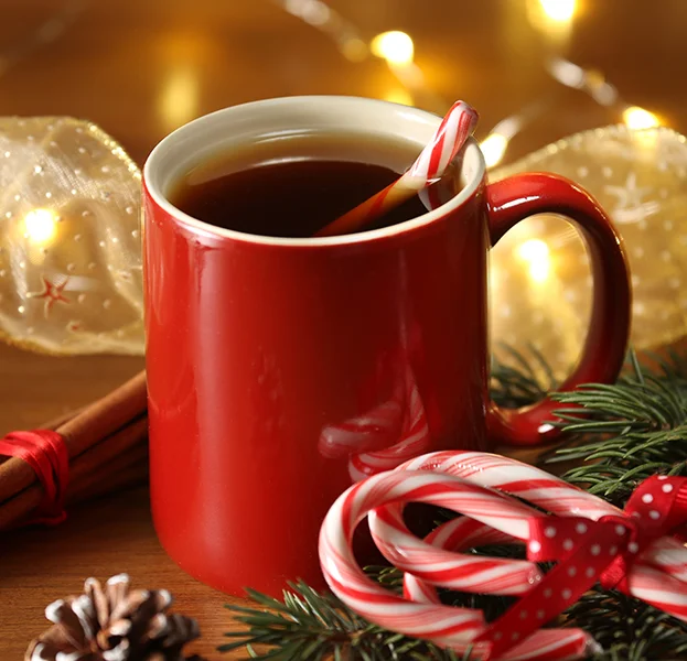 ChicagoFoodPhotographerCandyCane004.jpg
