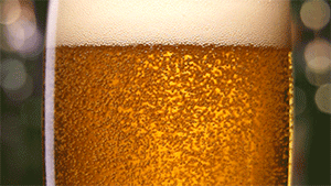 ChicagoFoodPhotographerbeer.gif