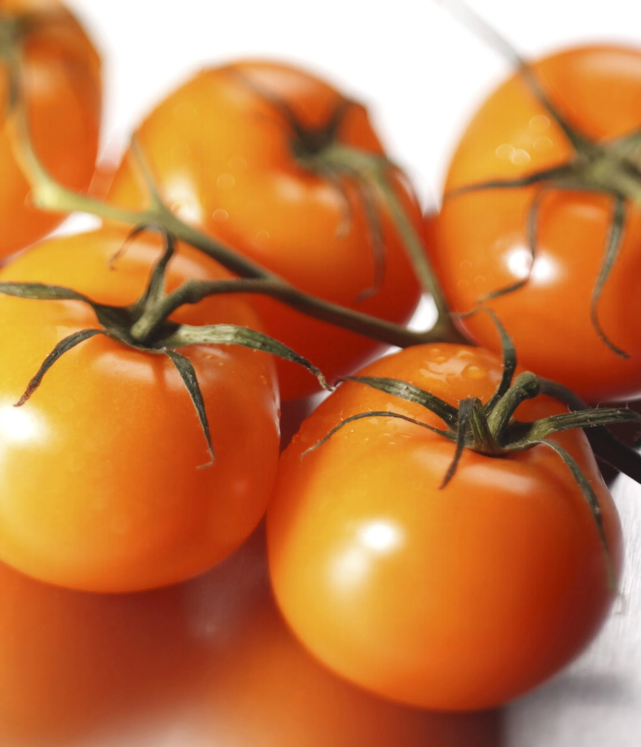 fruit veg - TomatosCROP.jpg