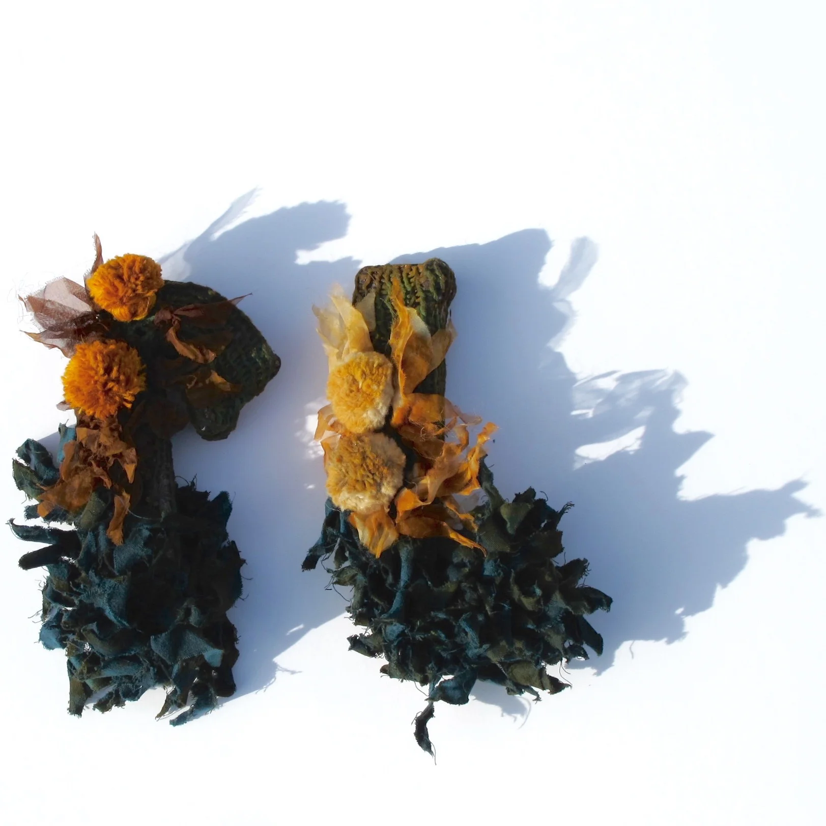Pleonectic Paradisea (2015)
