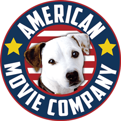AMC-Logo-2016-250.png