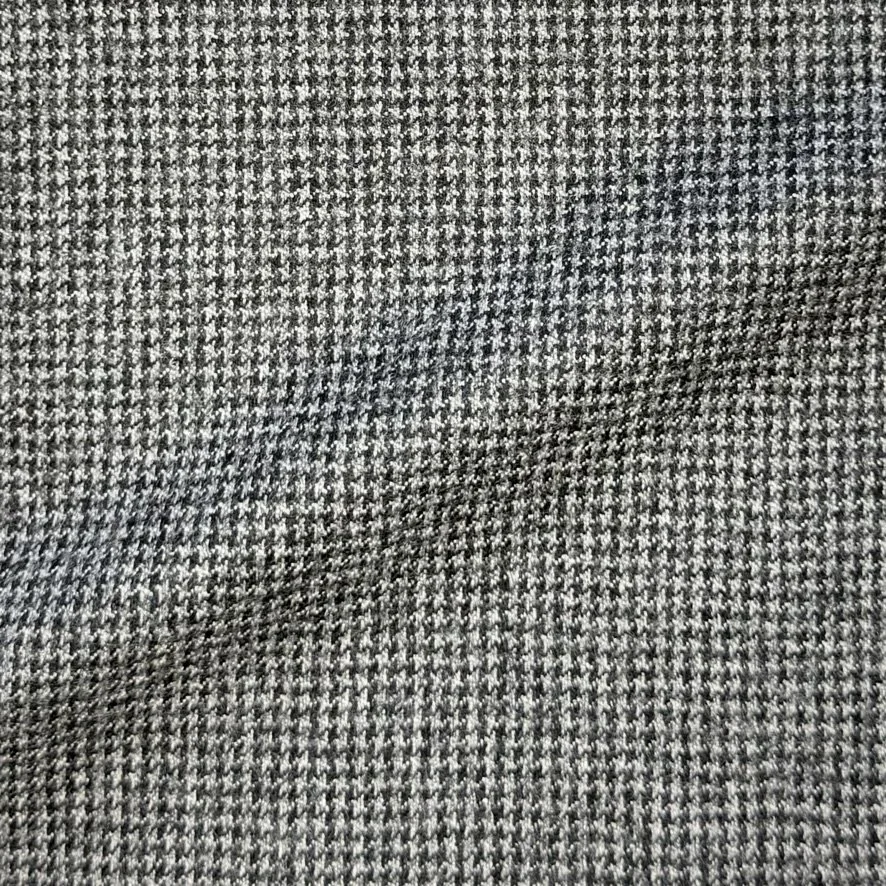 Gray Puppytooth