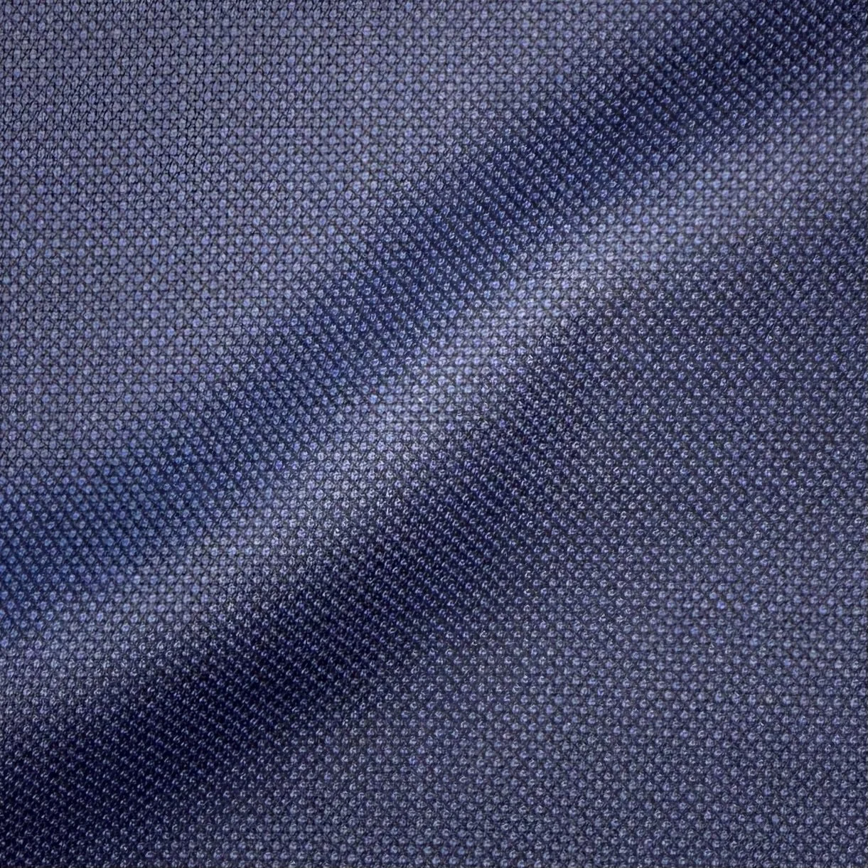 Navy Birdseye
