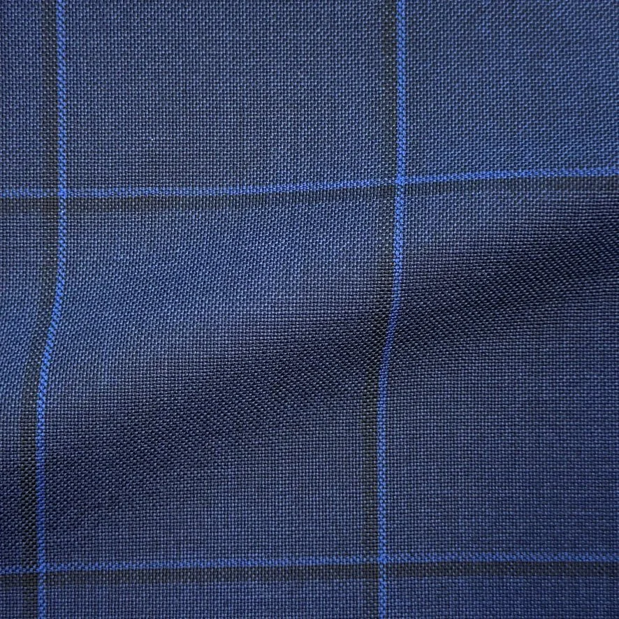 Dark Blue Windowpane
