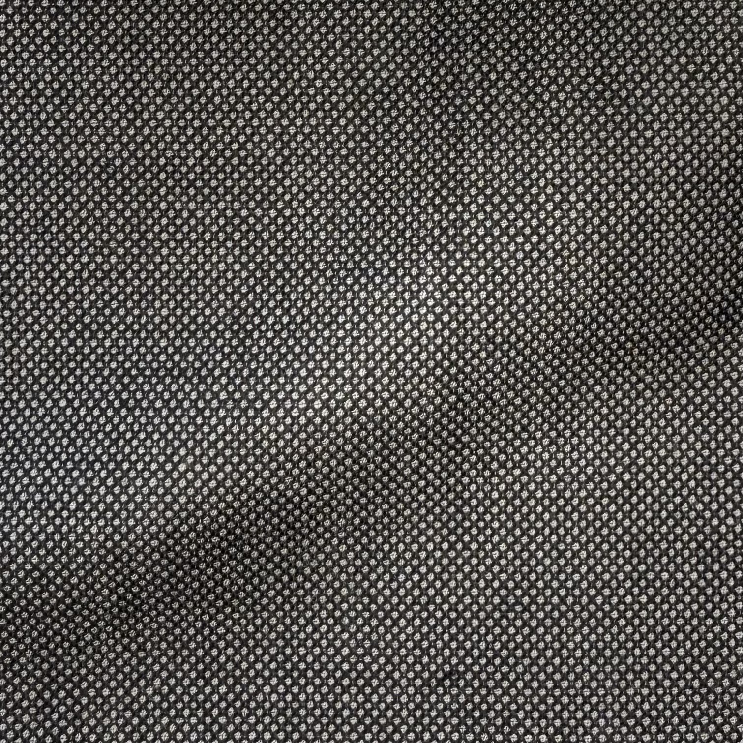 Gray Birdseye
