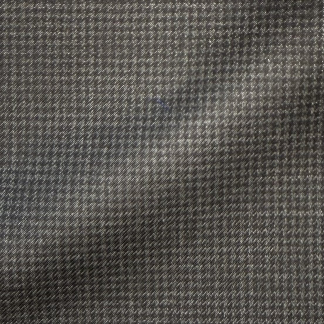 Gray Puppytooth