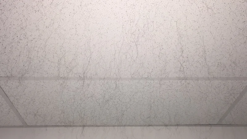 image 13.jpg