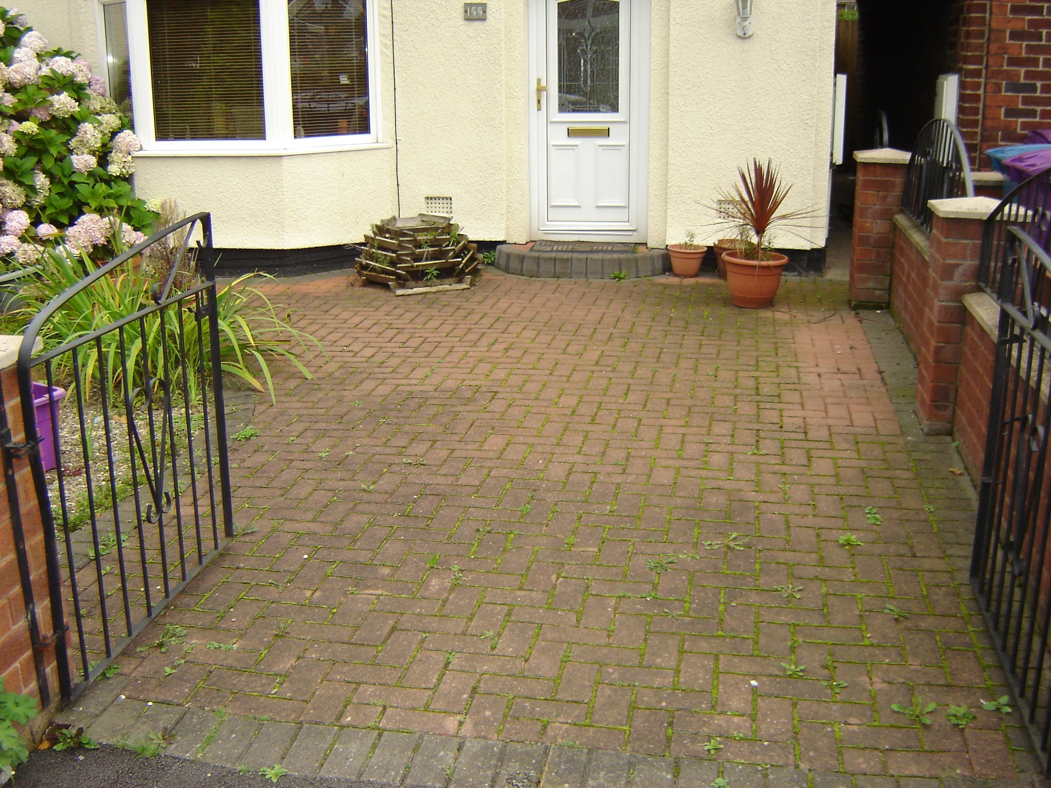 Picture 001.jpg