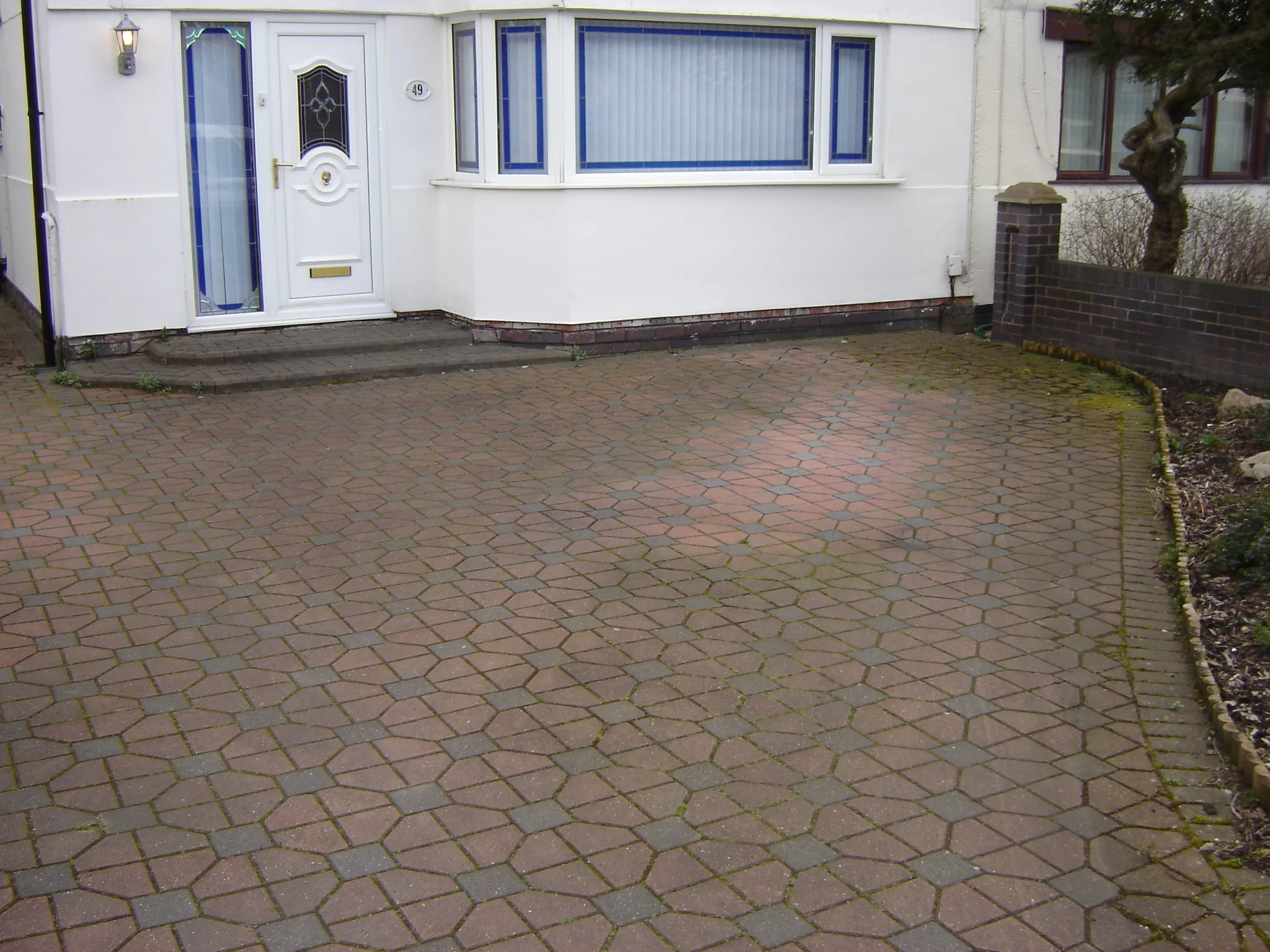 Picture 276.jpg