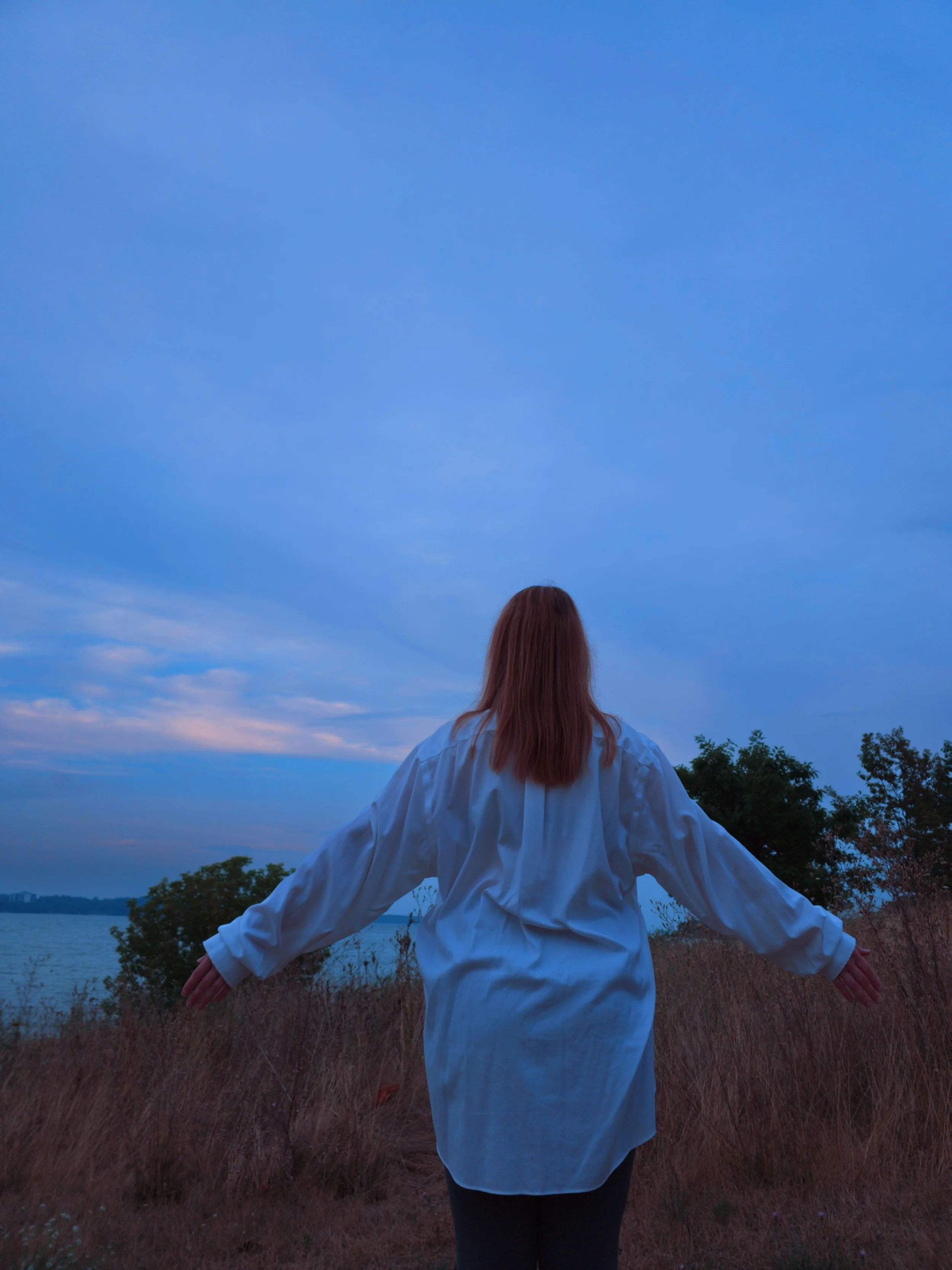 The Seagull