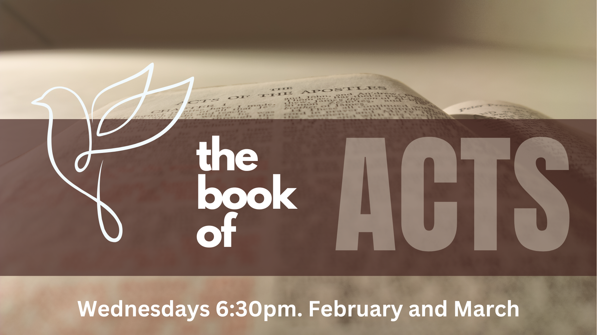 PFSDA Mid Week - Acts (2).png