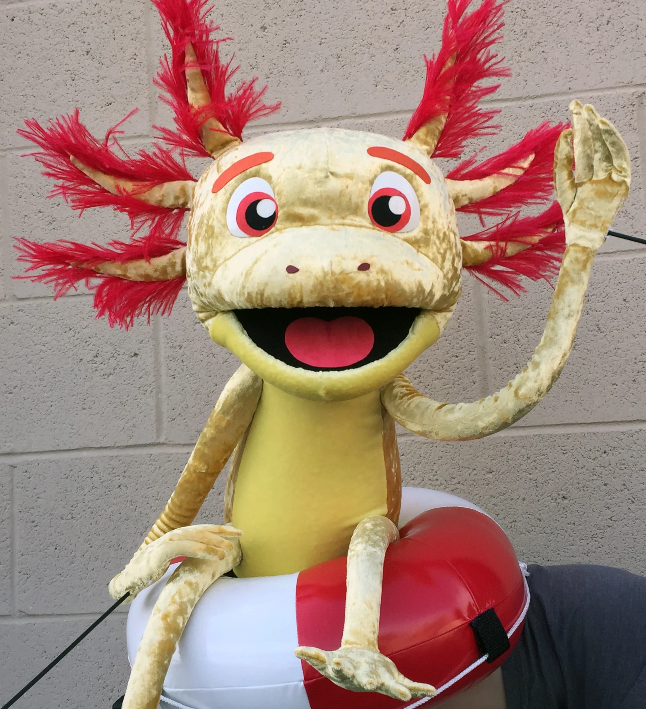 Axolotl 1.jpg