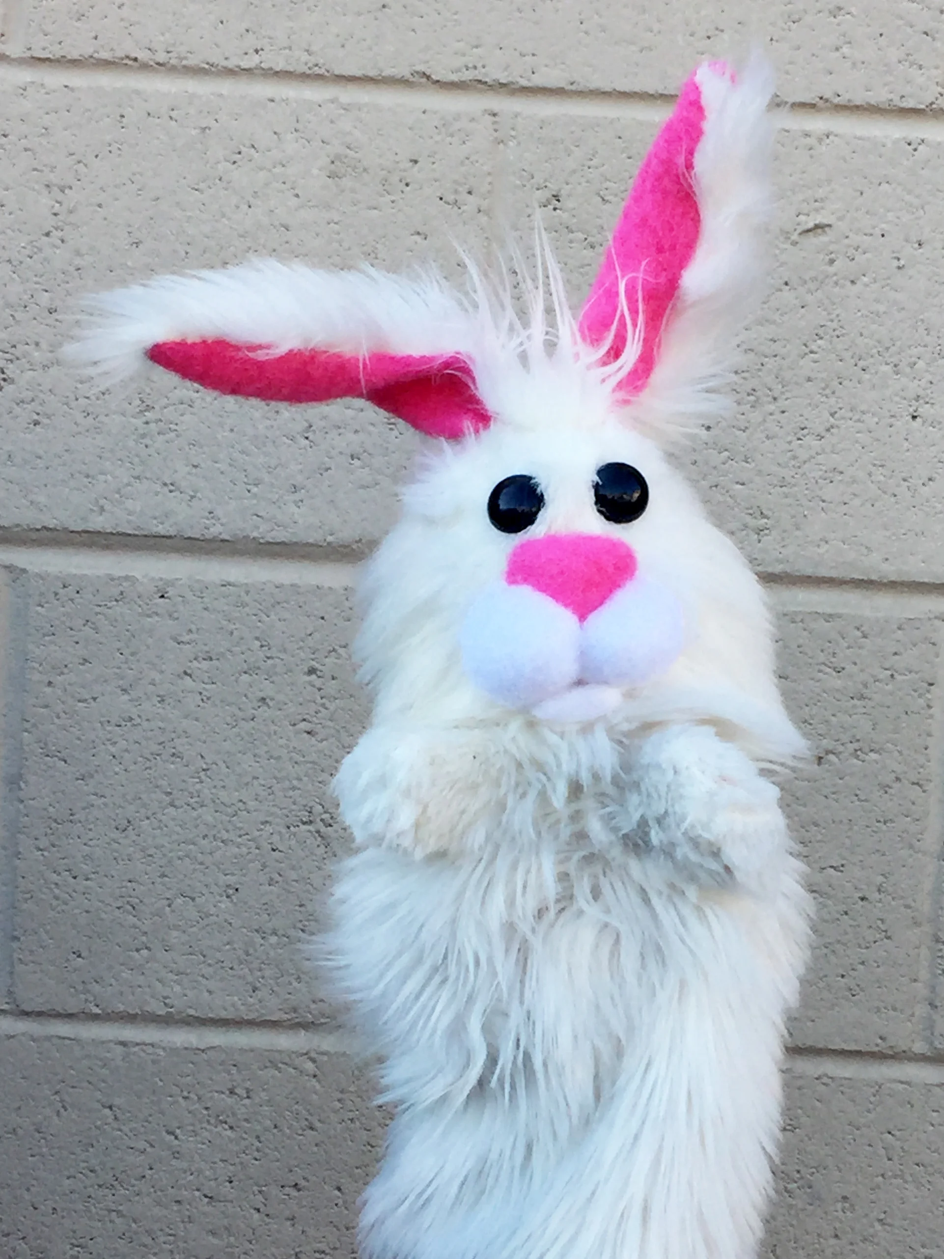 Bunny white.jpg