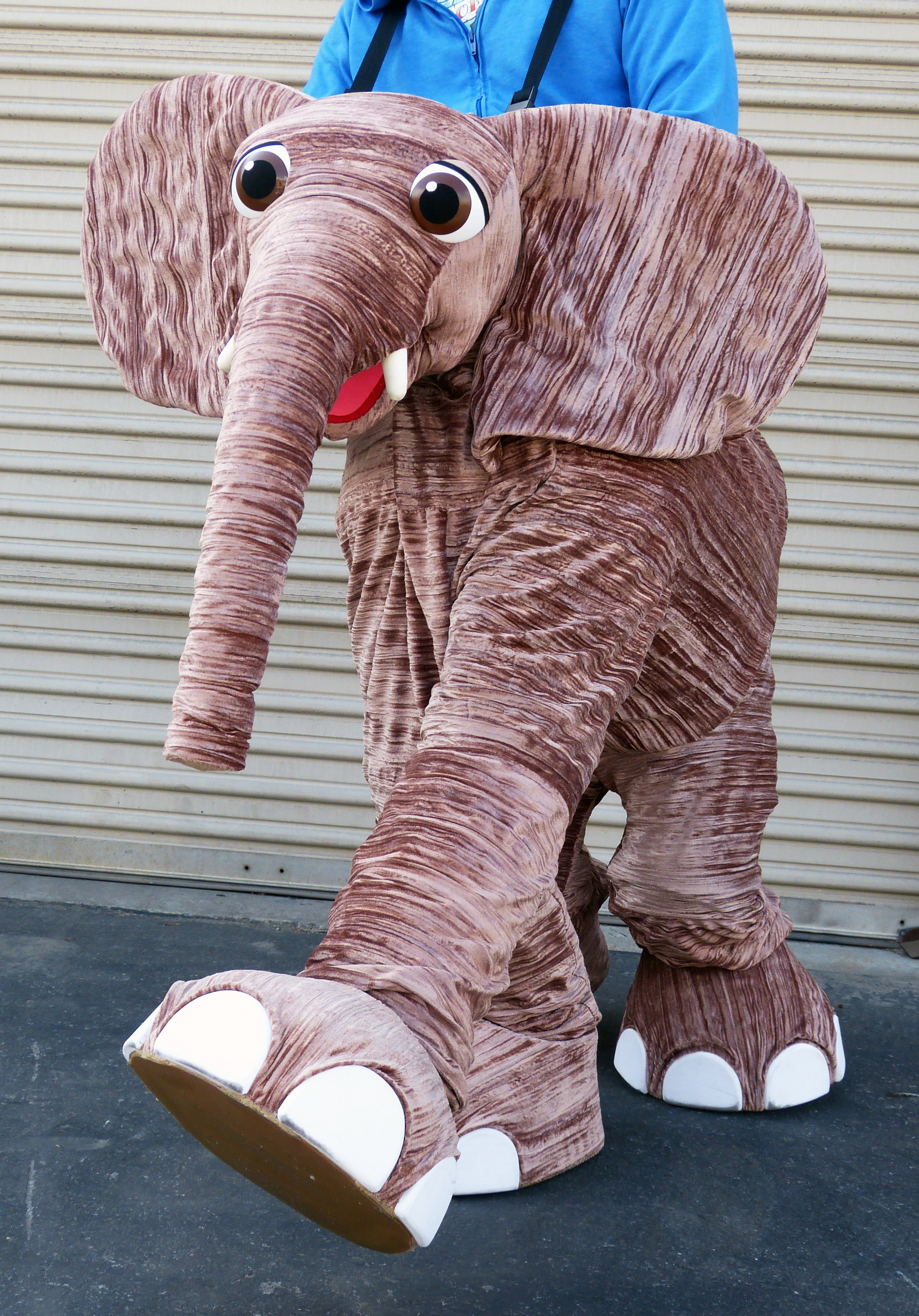 elephant 2.jpg