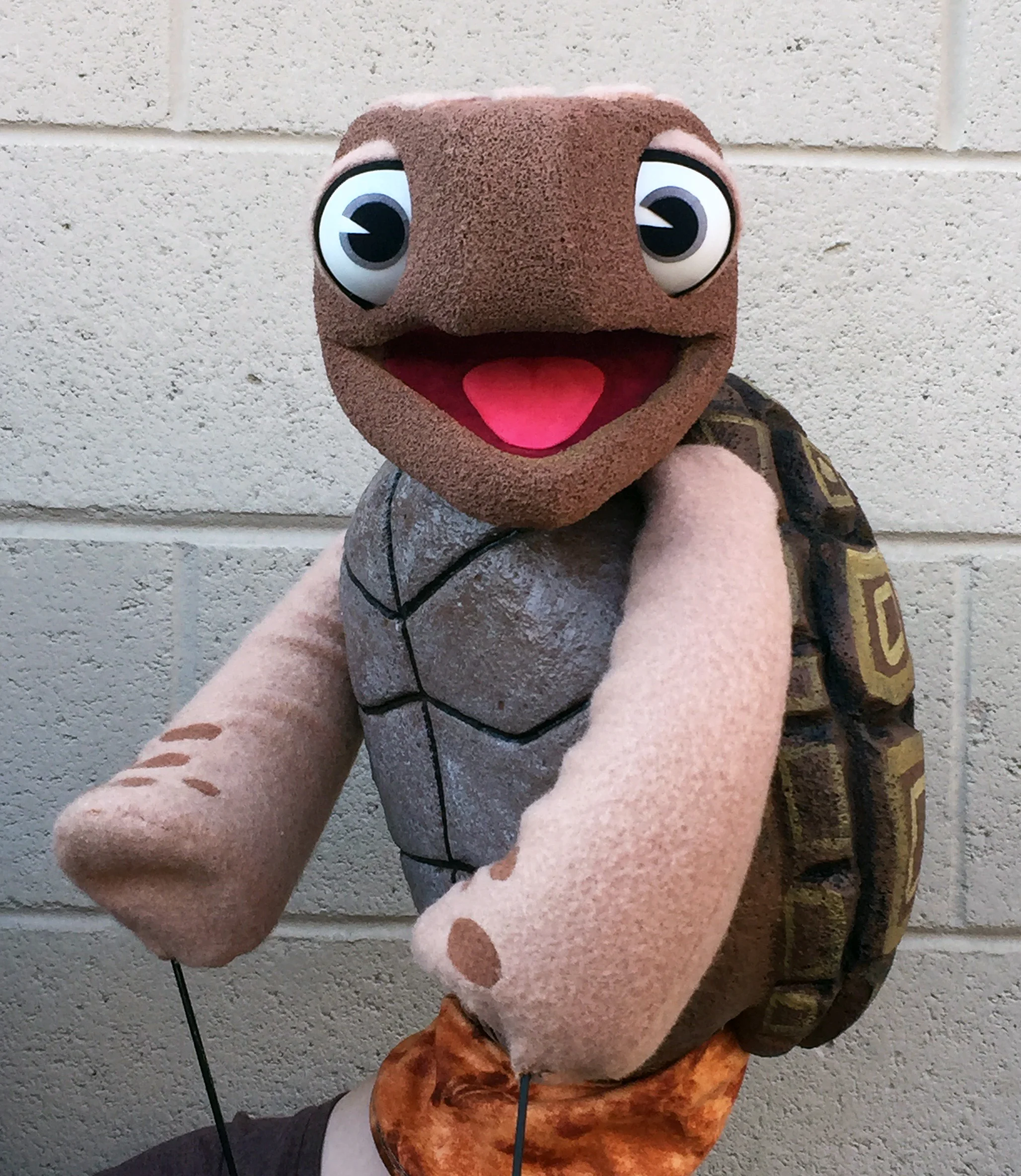 Tortoise.jpg