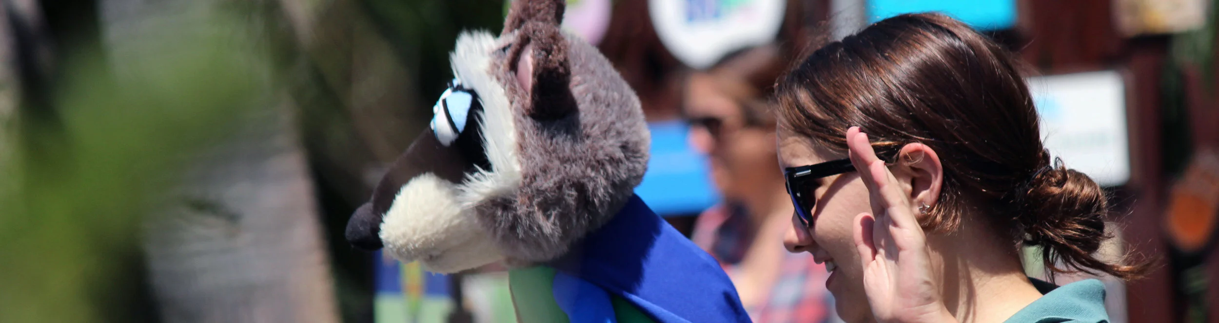 Puppet show FAQ.jpg