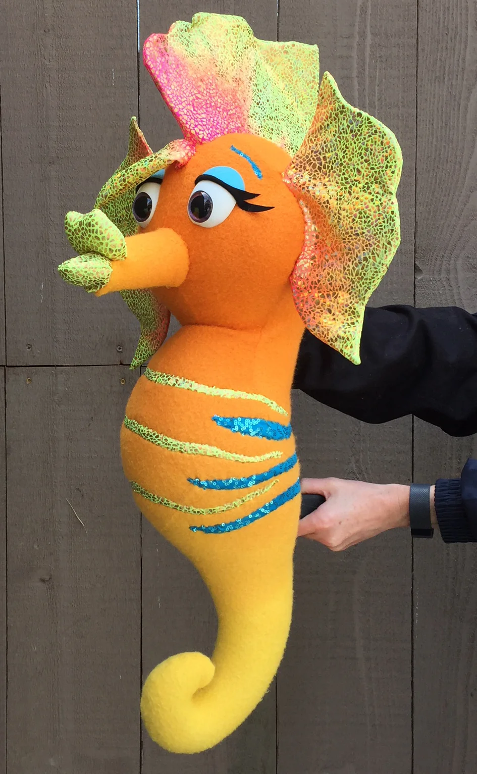 seahorse photo.jpg