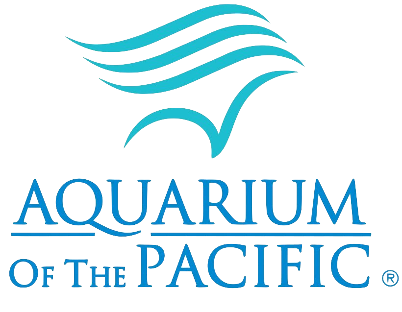 Aquarium-of-the-pacific-the-queen-mary-aquarium-way-shark-lagoon-public-aquarium-png-favpng-6DrEz7YX6FpRpnigkCPrQkKtf.png