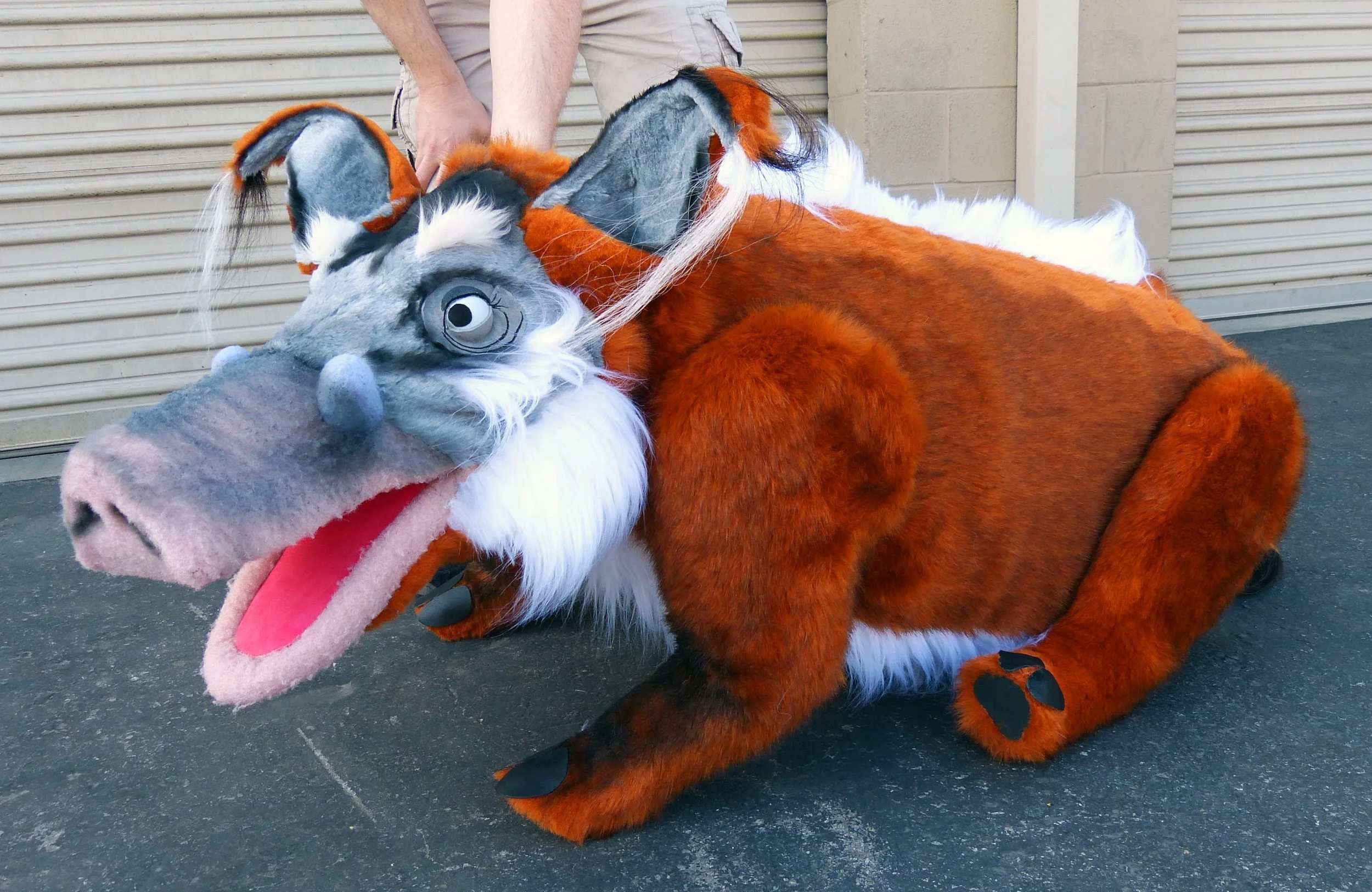 imgwarthog.jpg