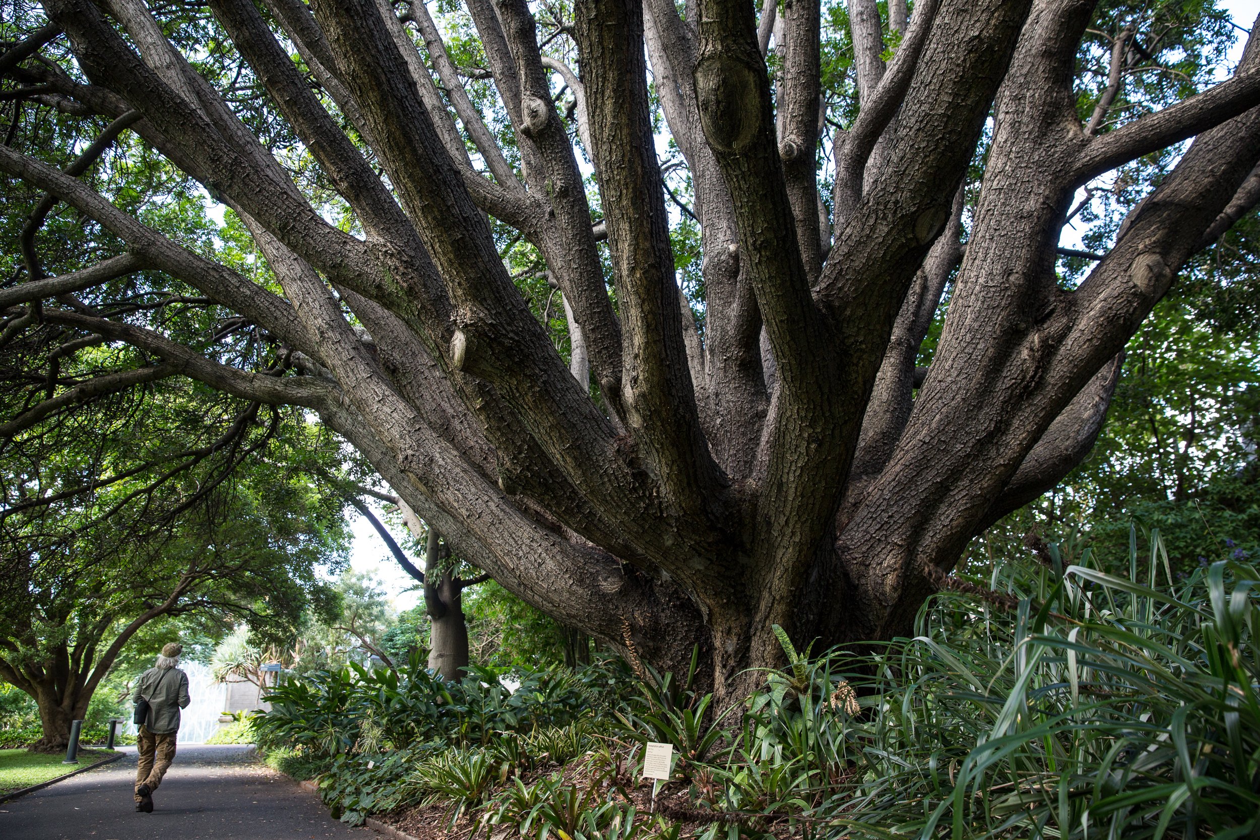 SYDNEY, AUSTRALIA