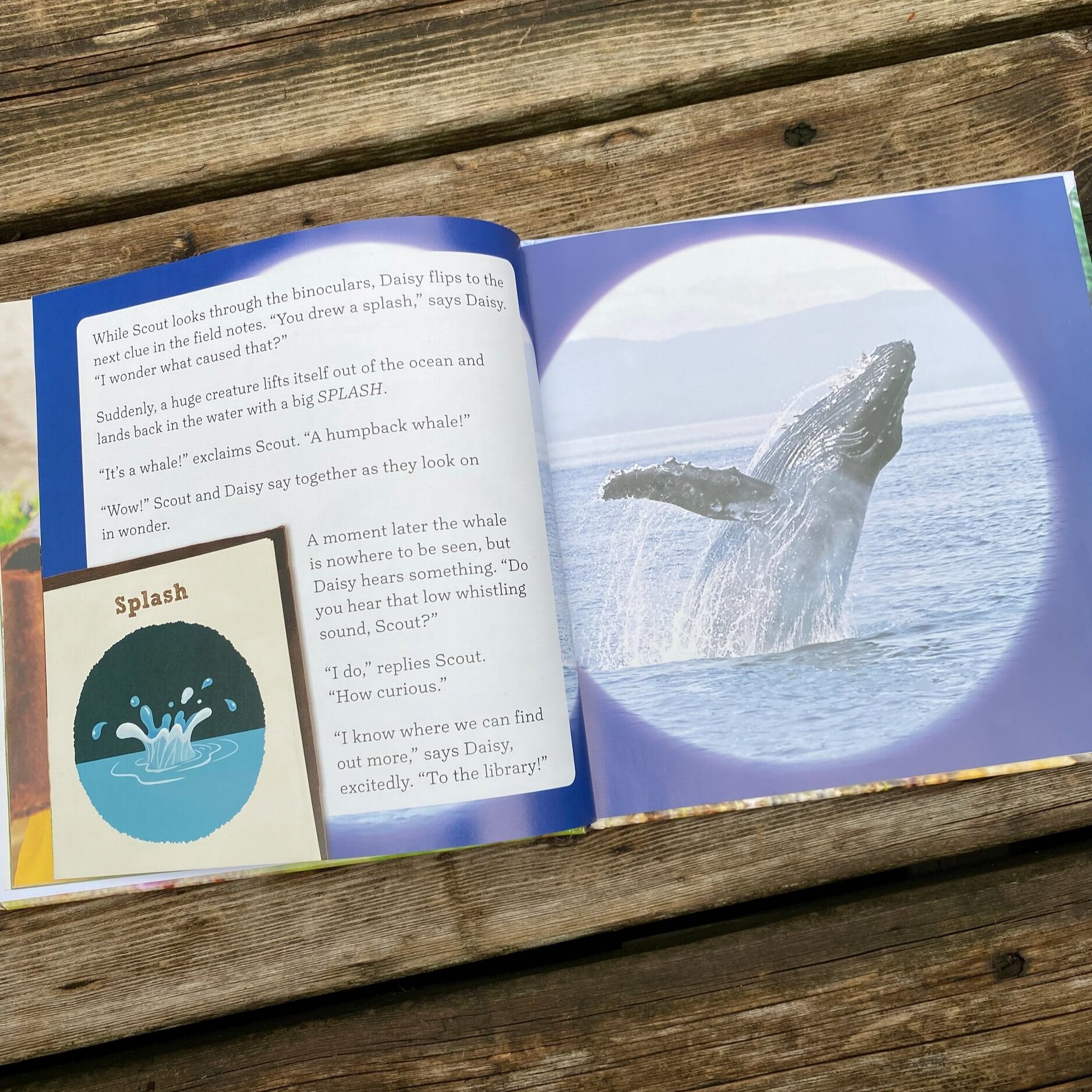 An example of Scout’s “Field Notes”