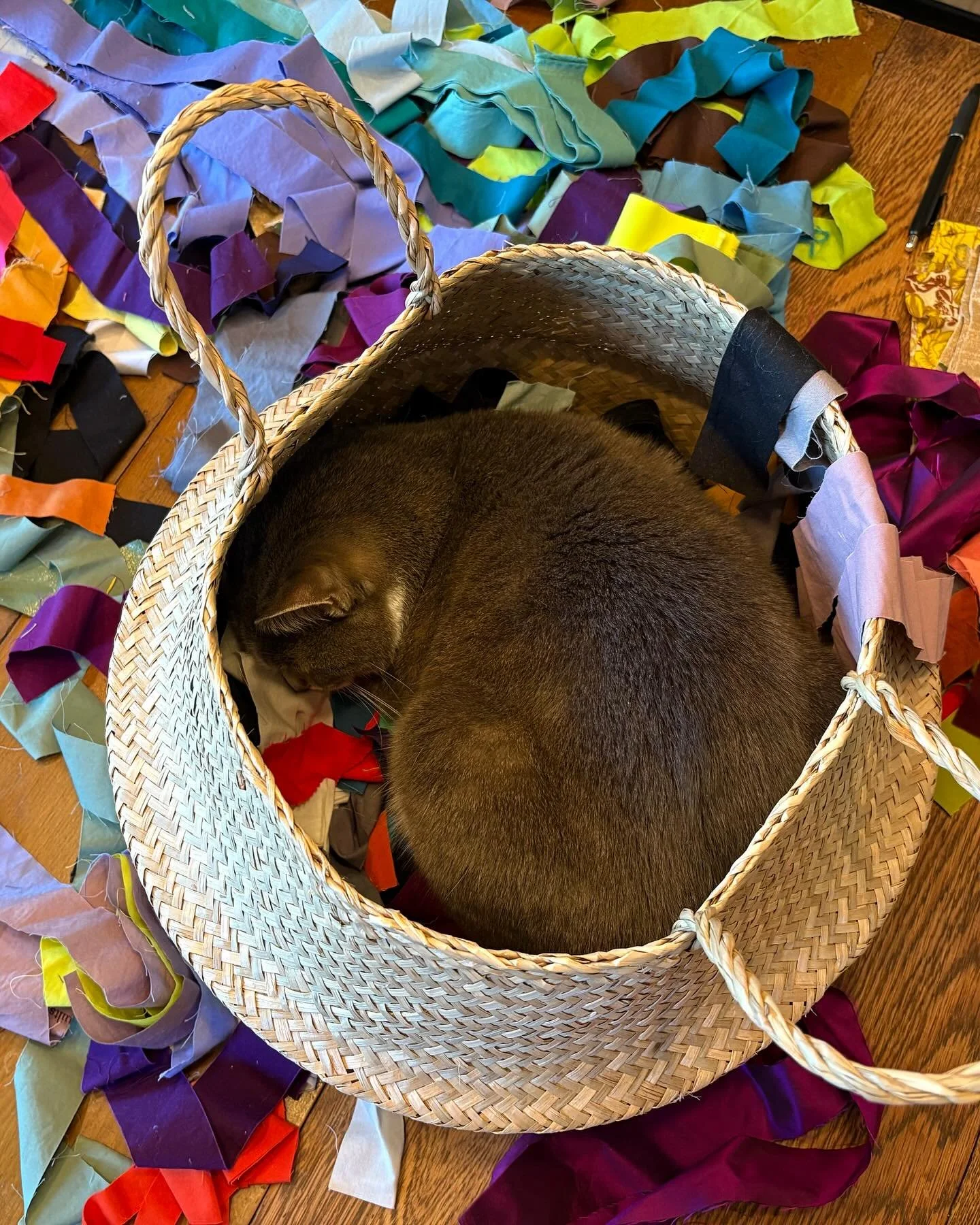 Yesterday, I learned that my new novel got a baffling, horrifyingly bad review. I did a few things to take care of myself. 1. Cut up a bunch of colorful fabrics, put them in a basket, and curled up in them to hide (photo 1). 2. Went outside into my b