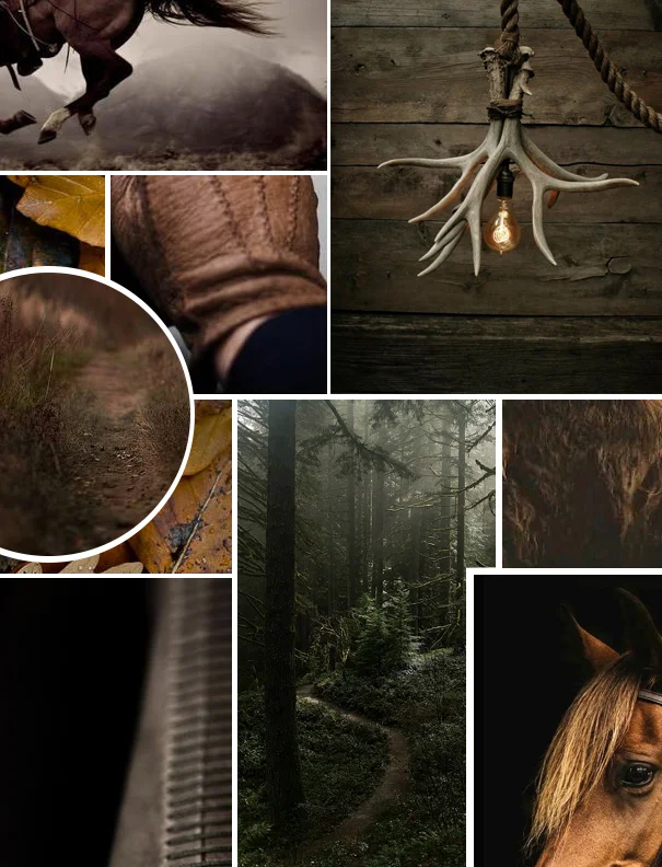 Cassiar Stone Styleboard.jpg