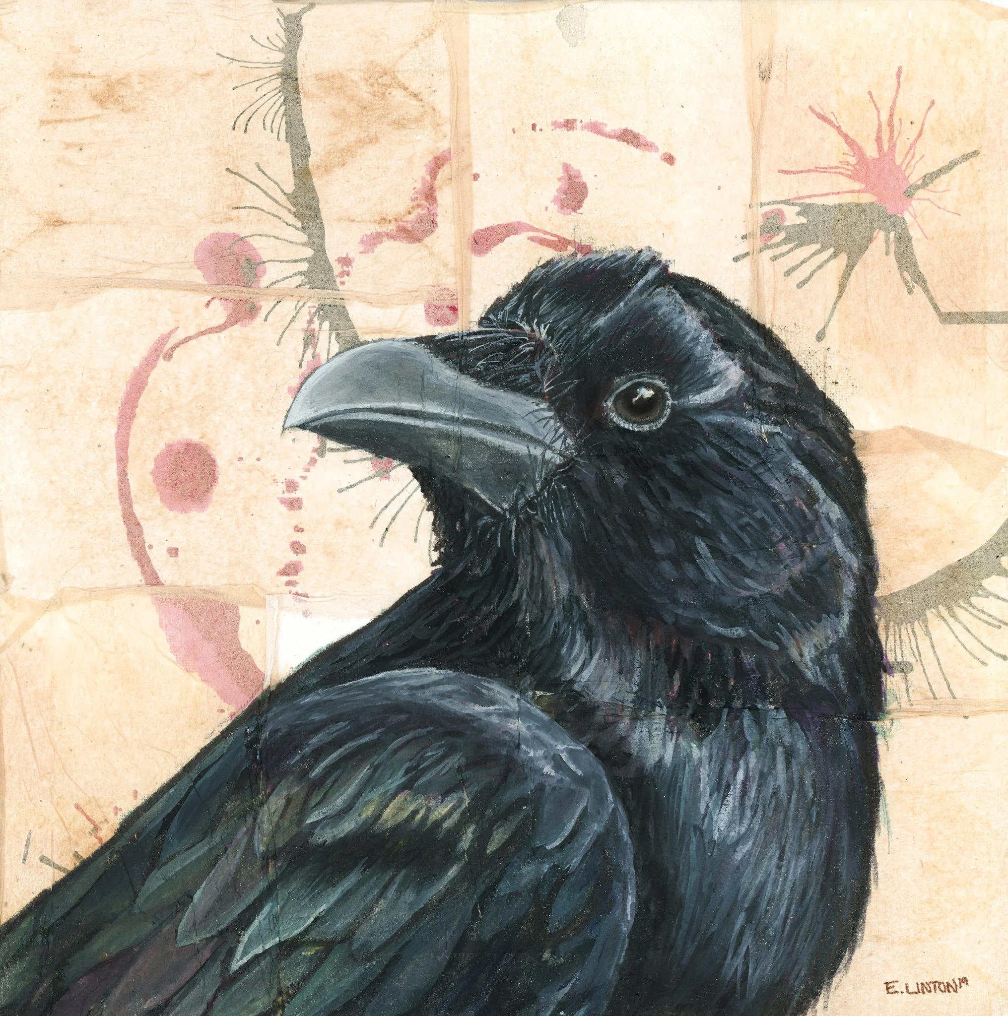 Raven Looking Left PRT.jpg