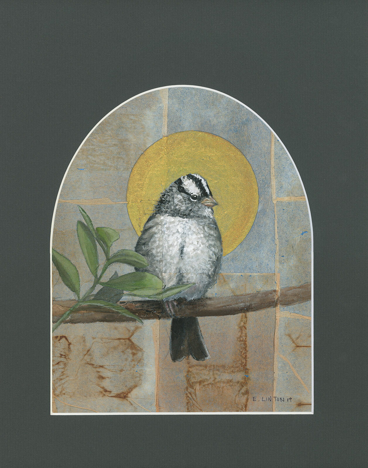 White Crowned Sparrow Icon