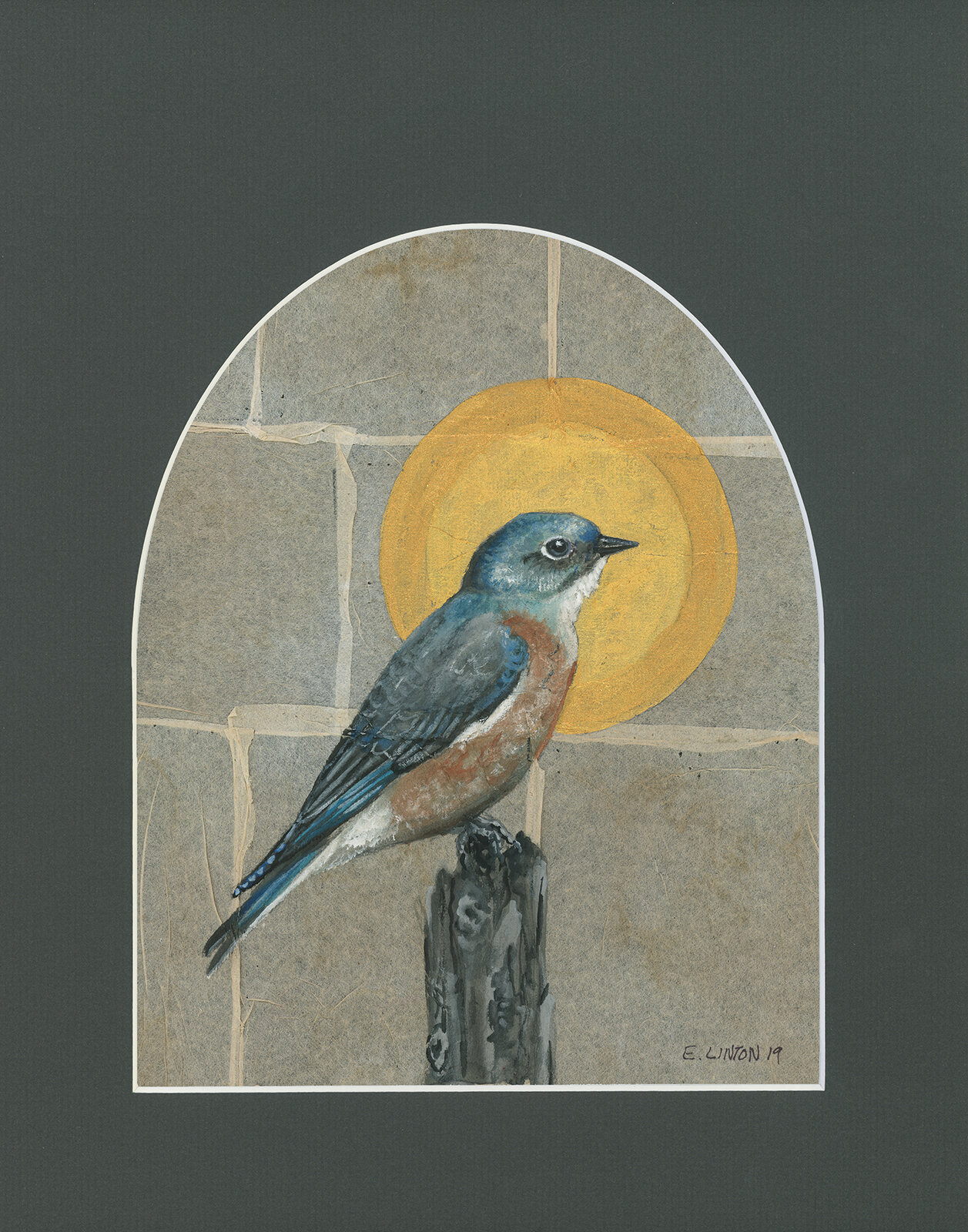 Western Bluebird Icon