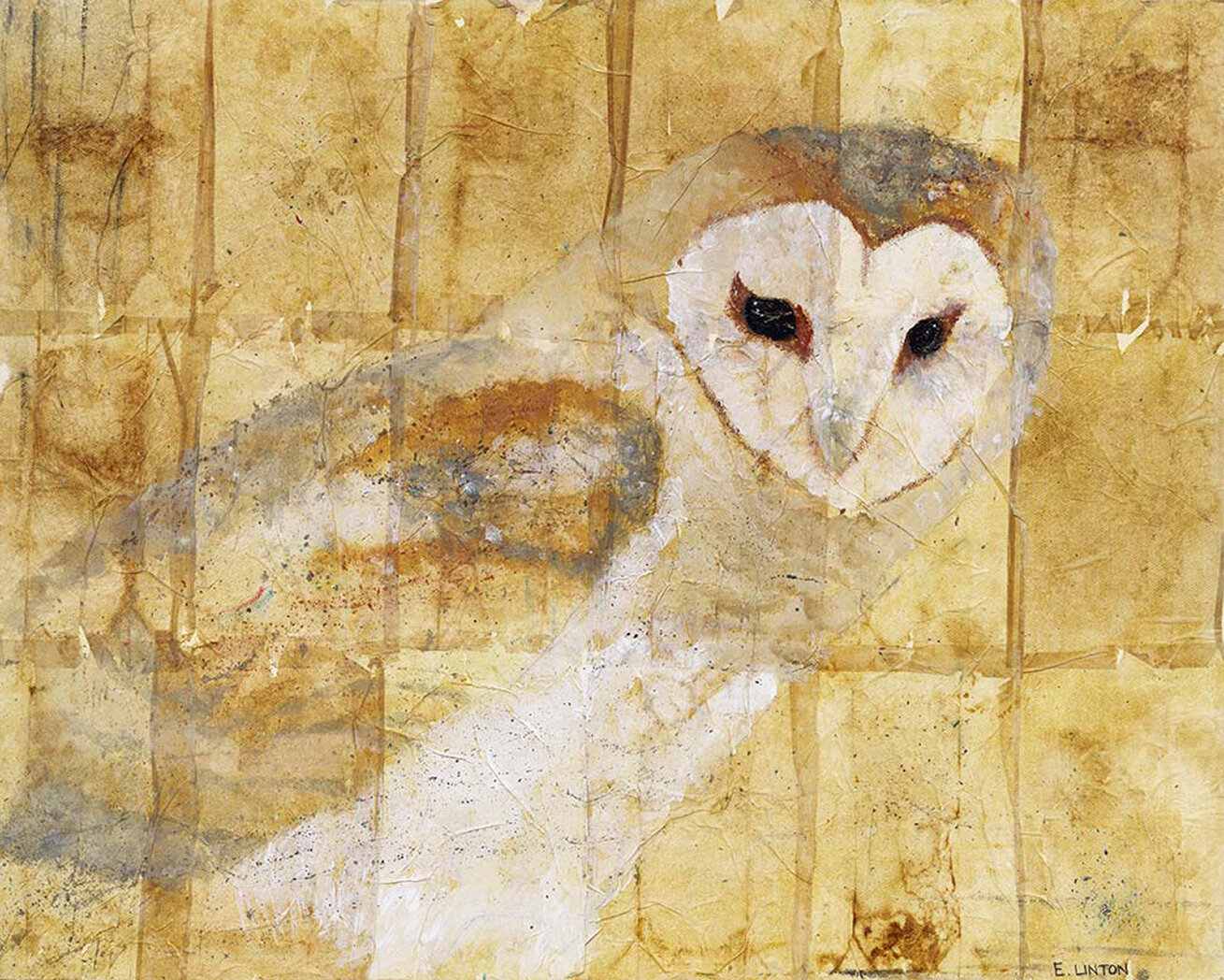 Barn Owl