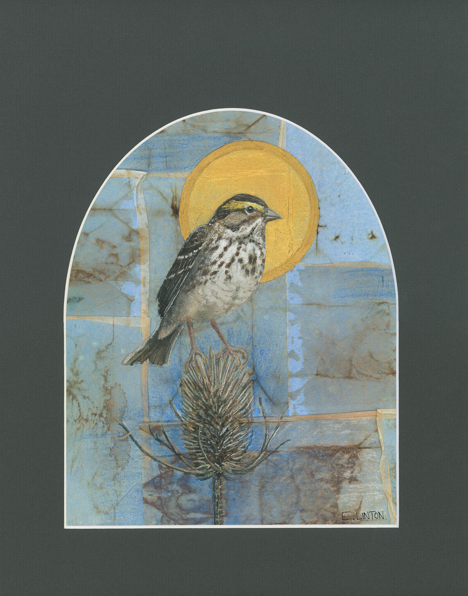 Savannah Sparrow Icon
