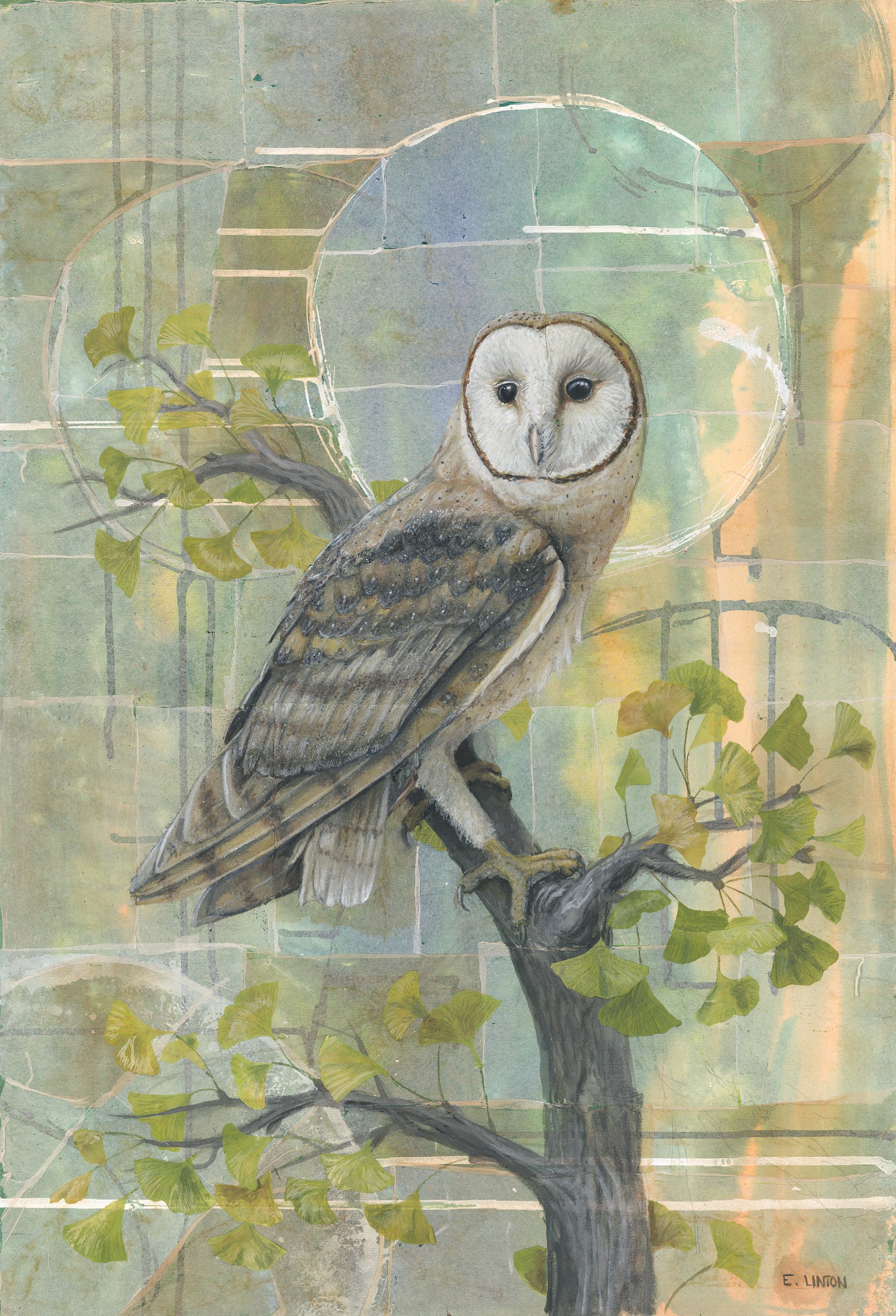  Barn Owl   Original is available  