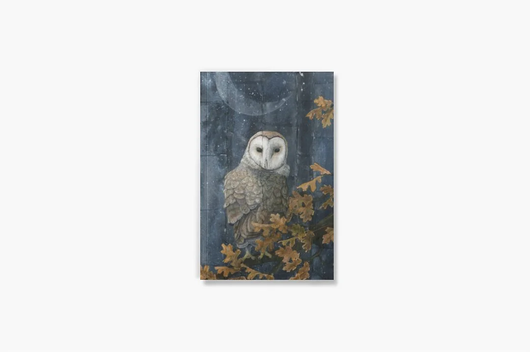 mockup-4.jpg