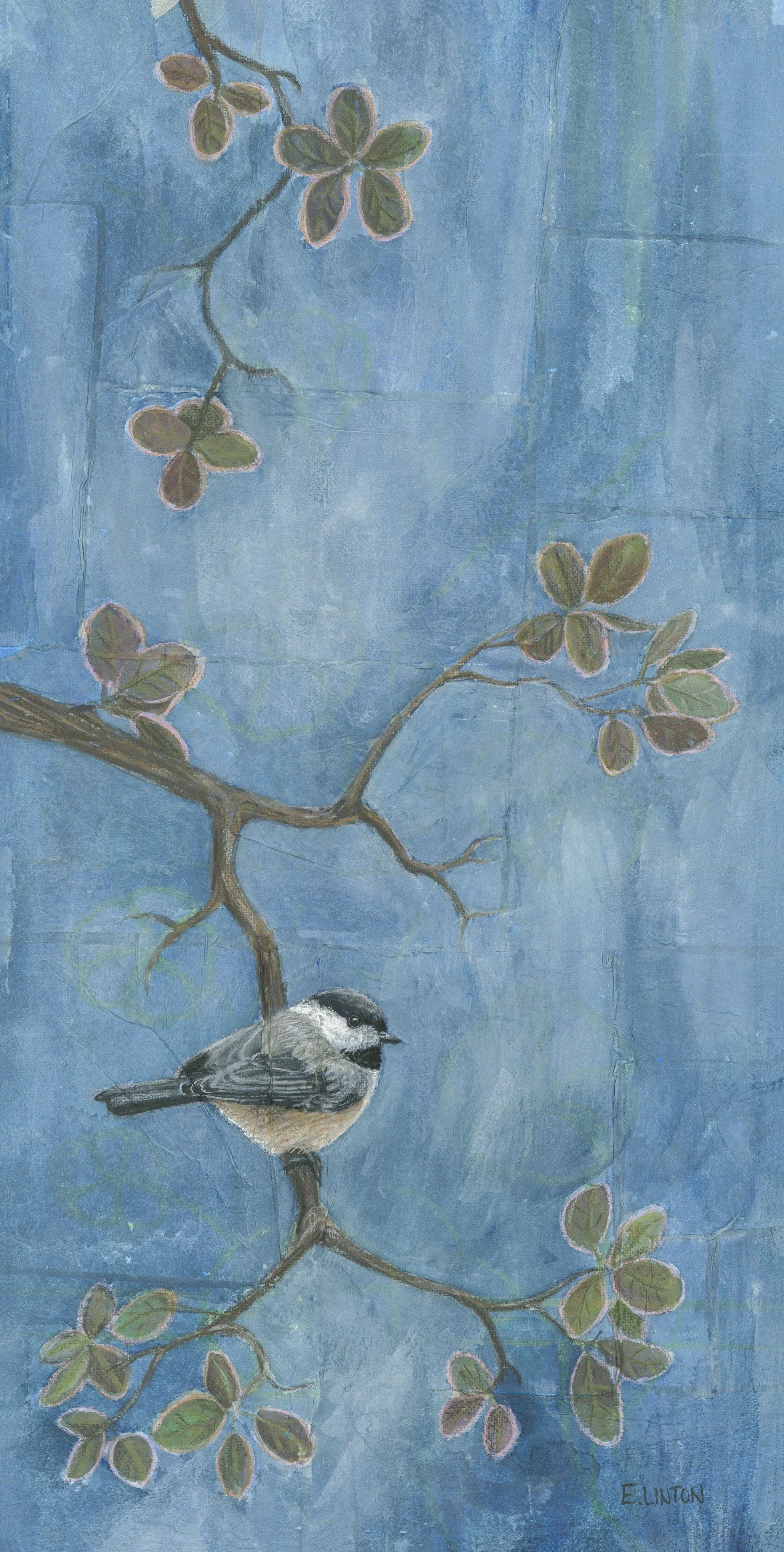 Black-capped Chickadee