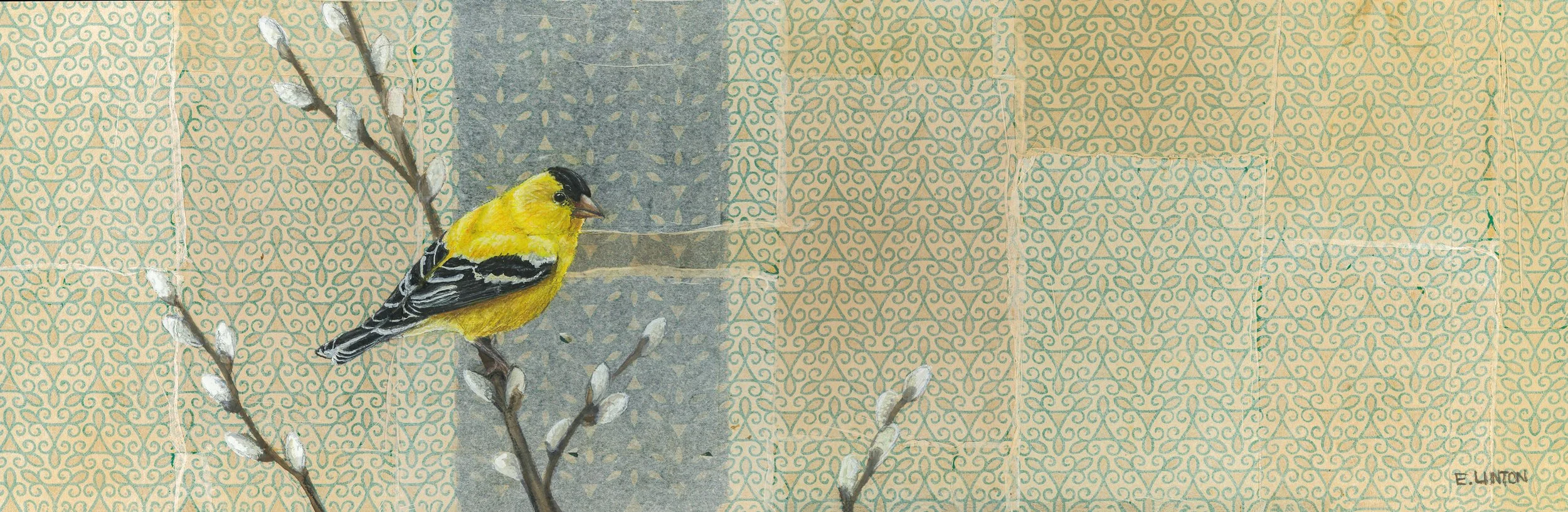 American Goldfinch