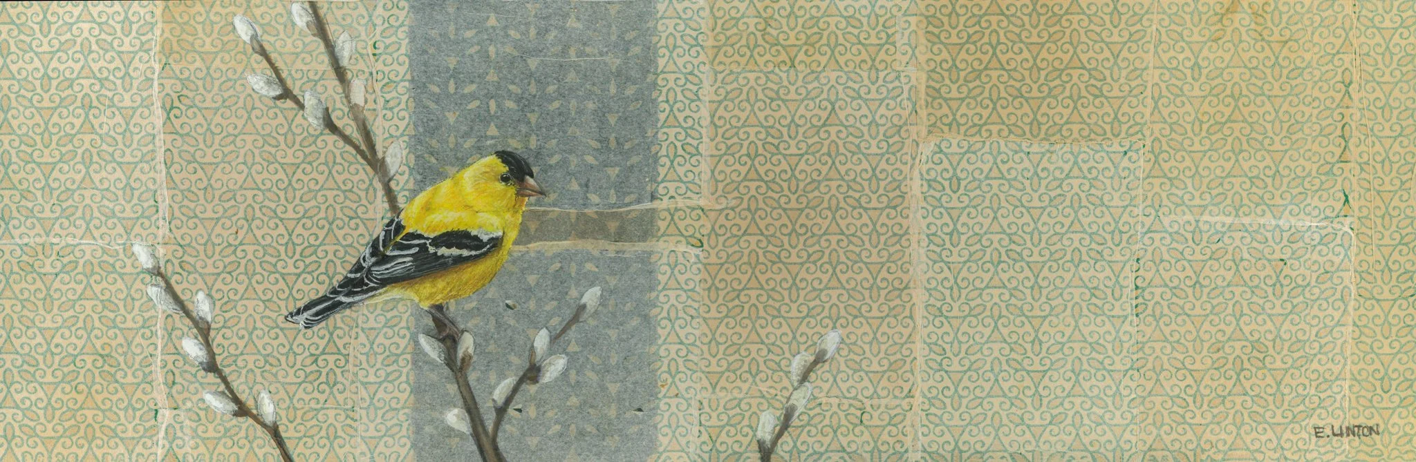 American Goldfinch