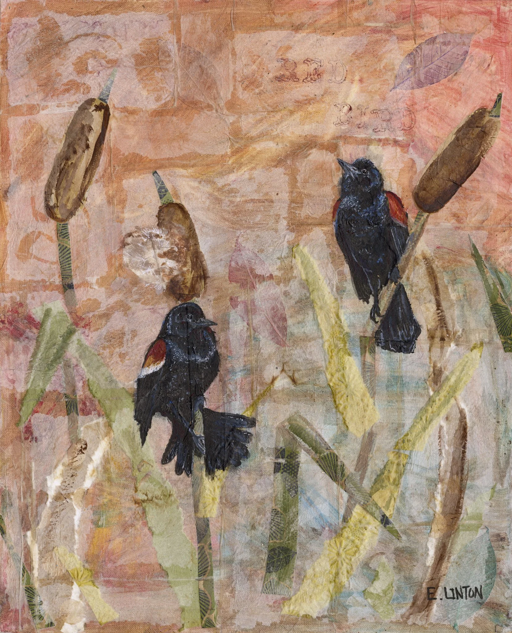 Redwinged blackbirds