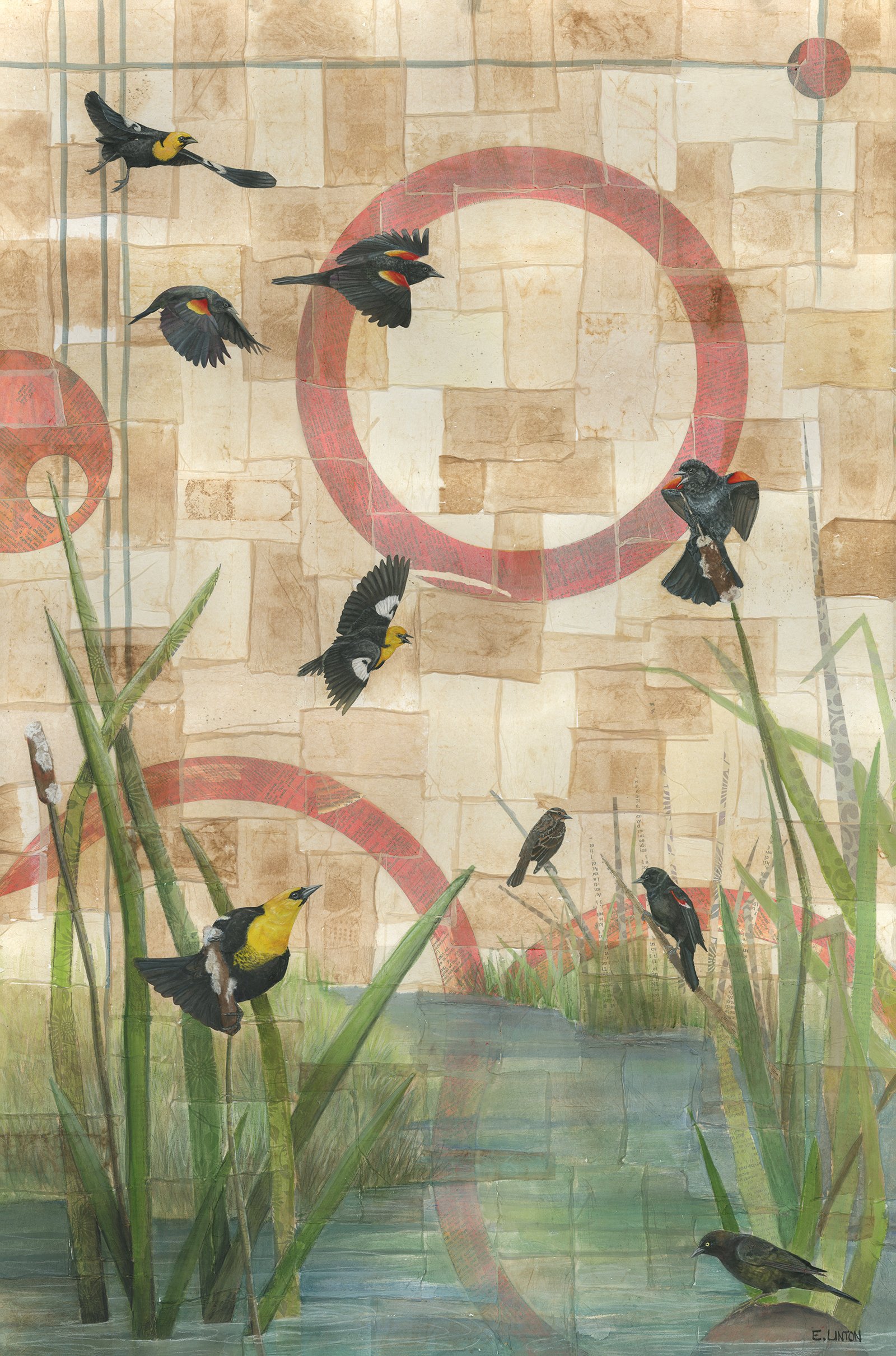 Blackbirds
