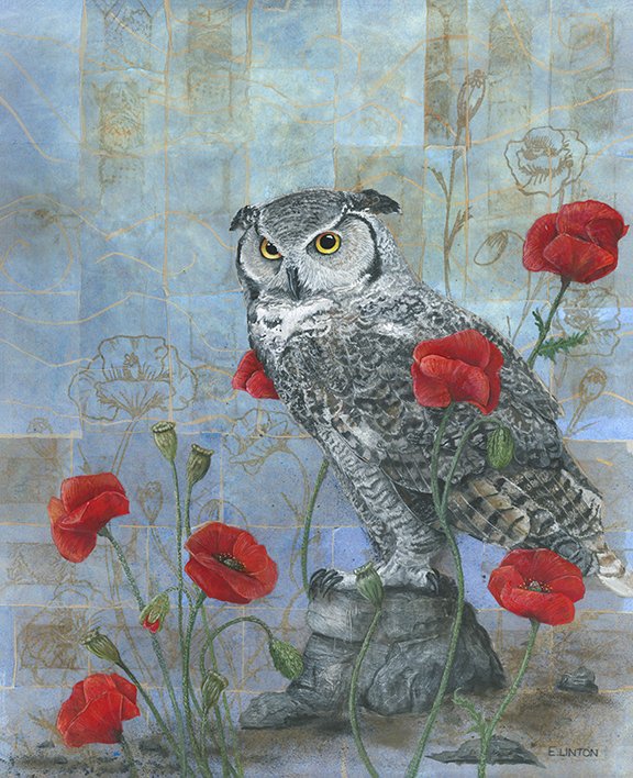 Great-horned Owl