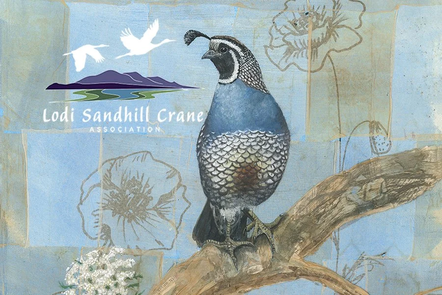 Lodi Sandhill Crane Festival 2026