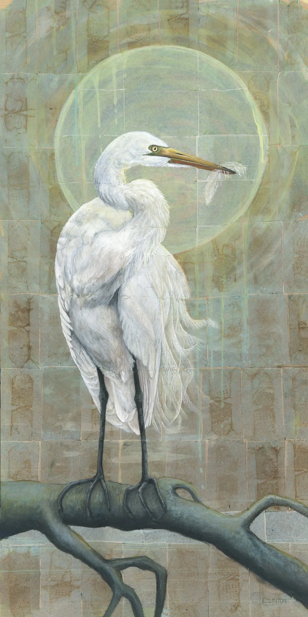 Great Egret FeatherPRT.jpg