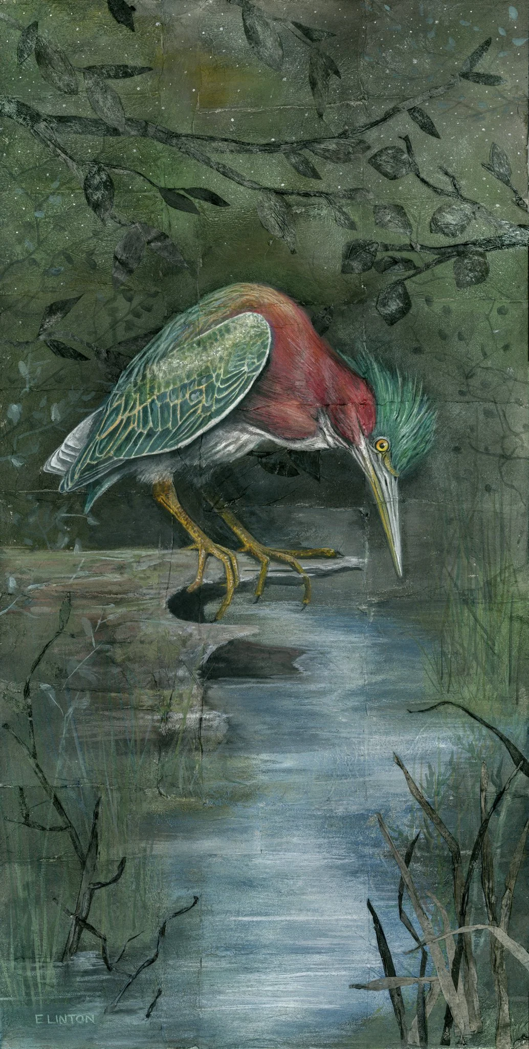 Green Heron Night PRT.jpg