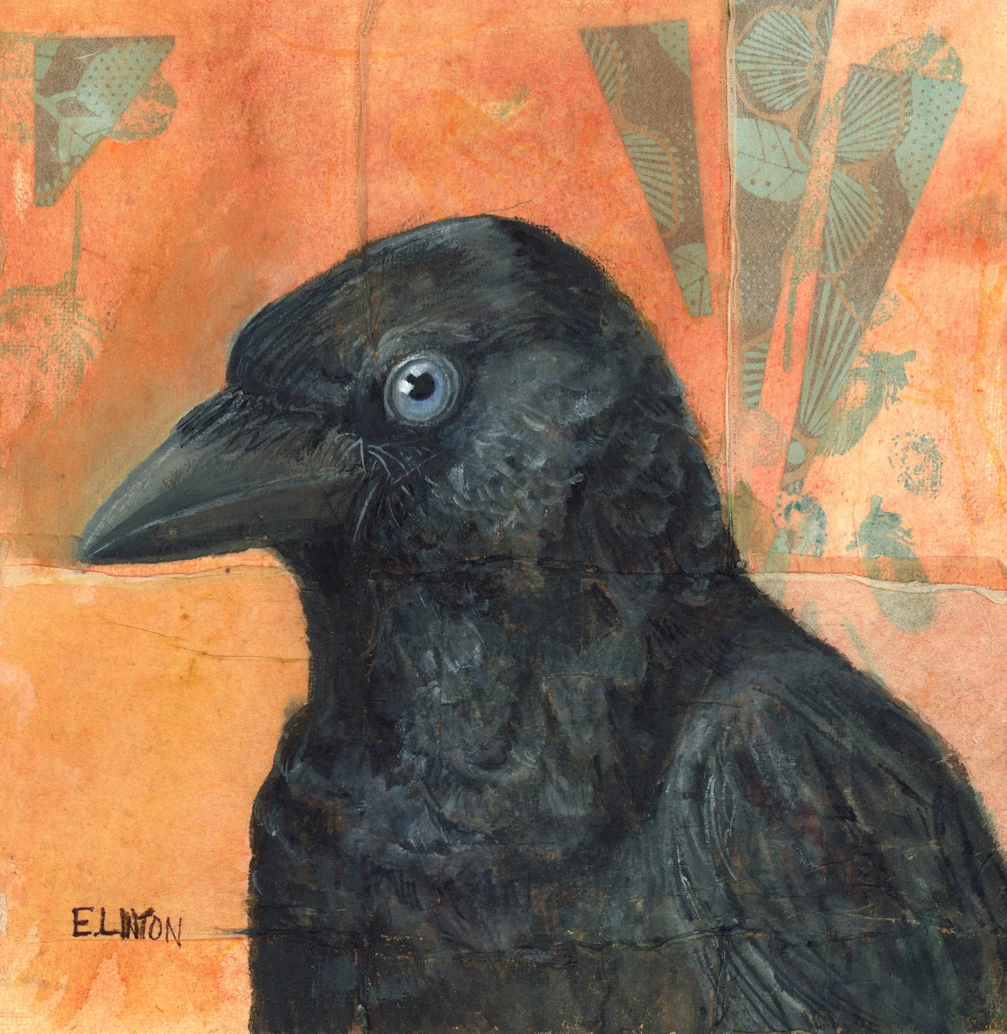 American Crow PRT.jpg