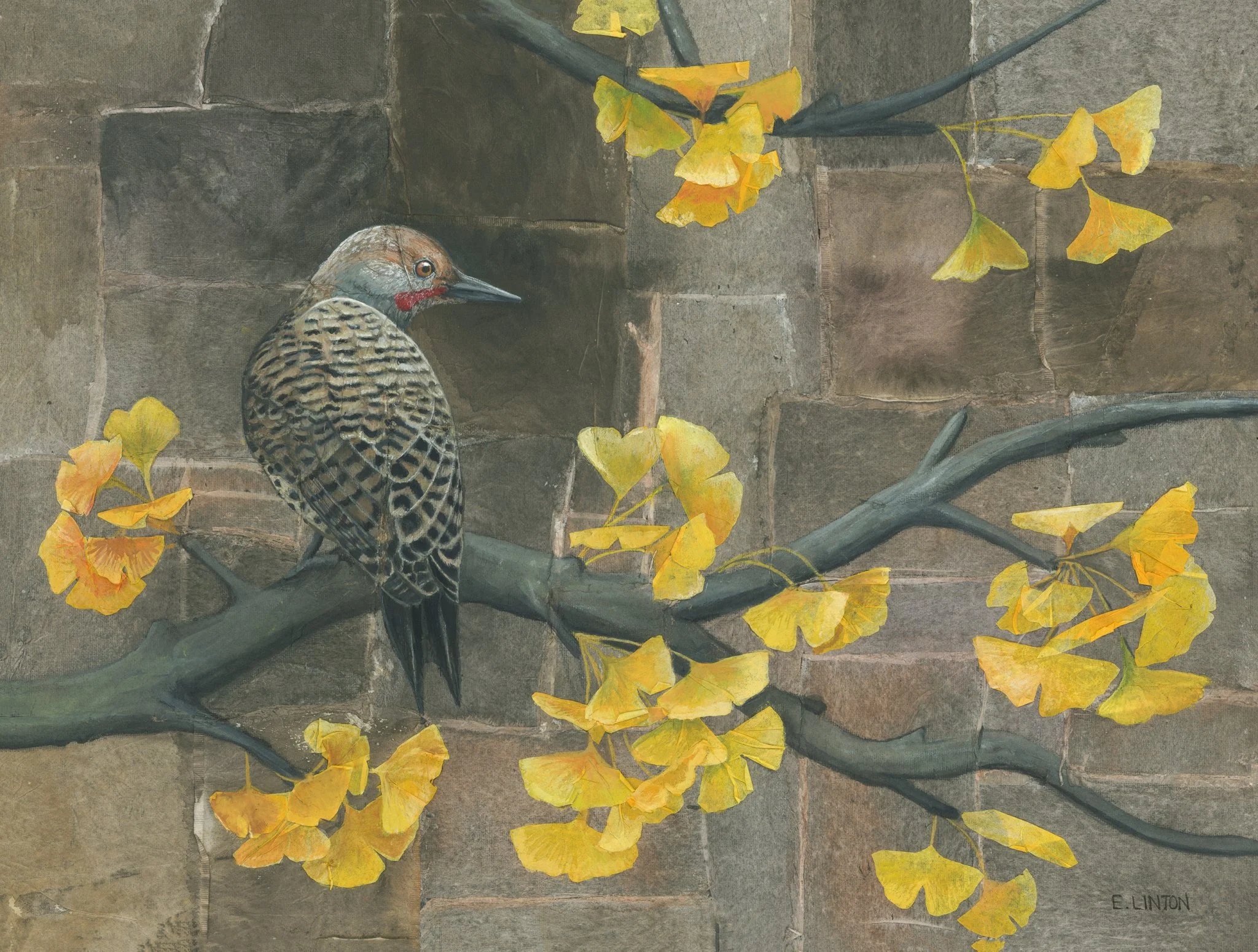Northern Flick with Ginko PRT.jpg