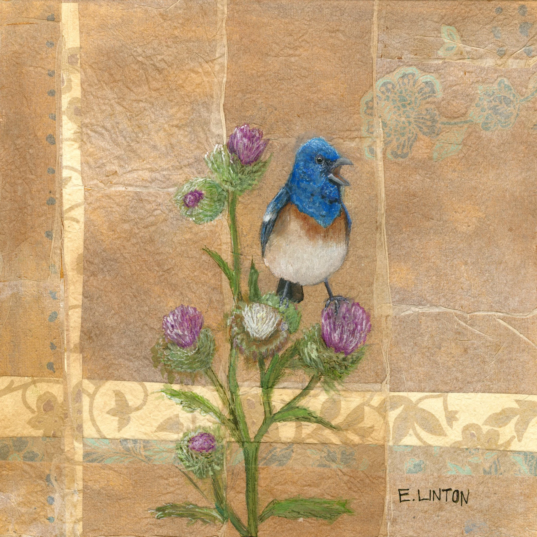 Lazuli Bunting PRT.jpg