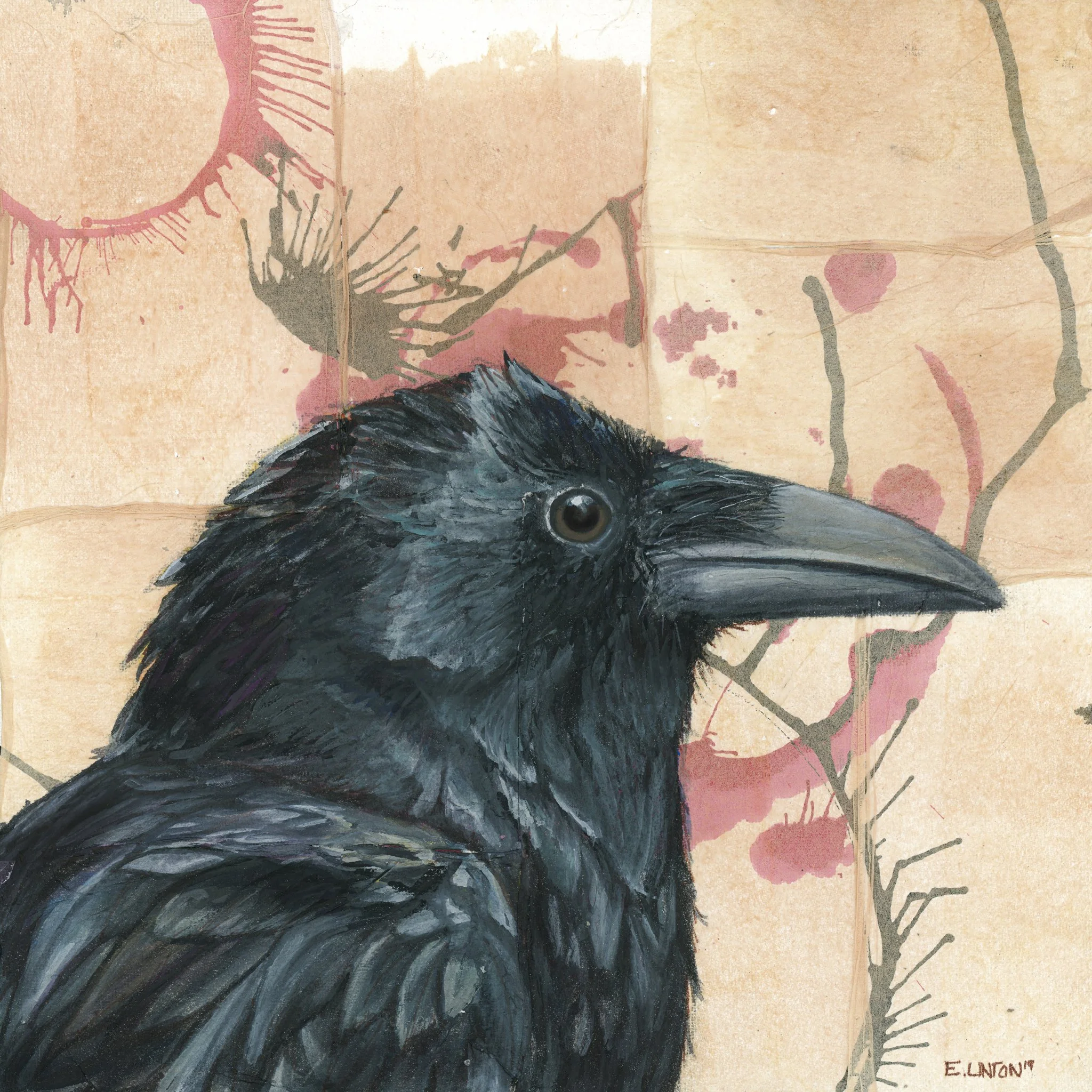 Raven looking Right PRT.jpg