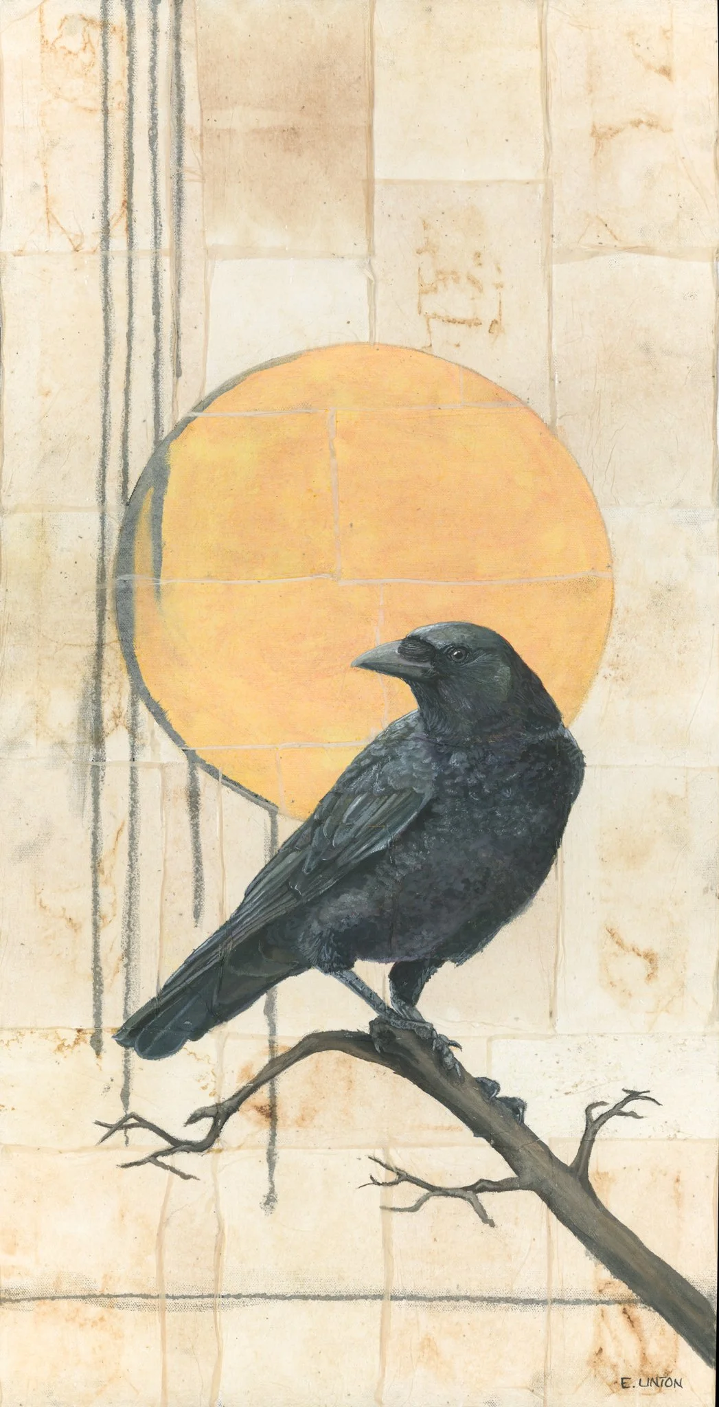 American Crow Vertical PRT.jpg